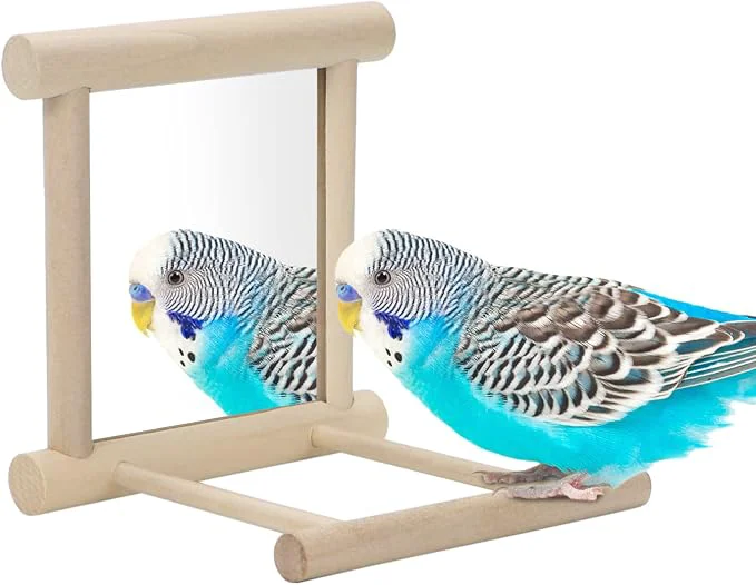 Smart Bird Mirror with Perch Bird Toys Top-Quality