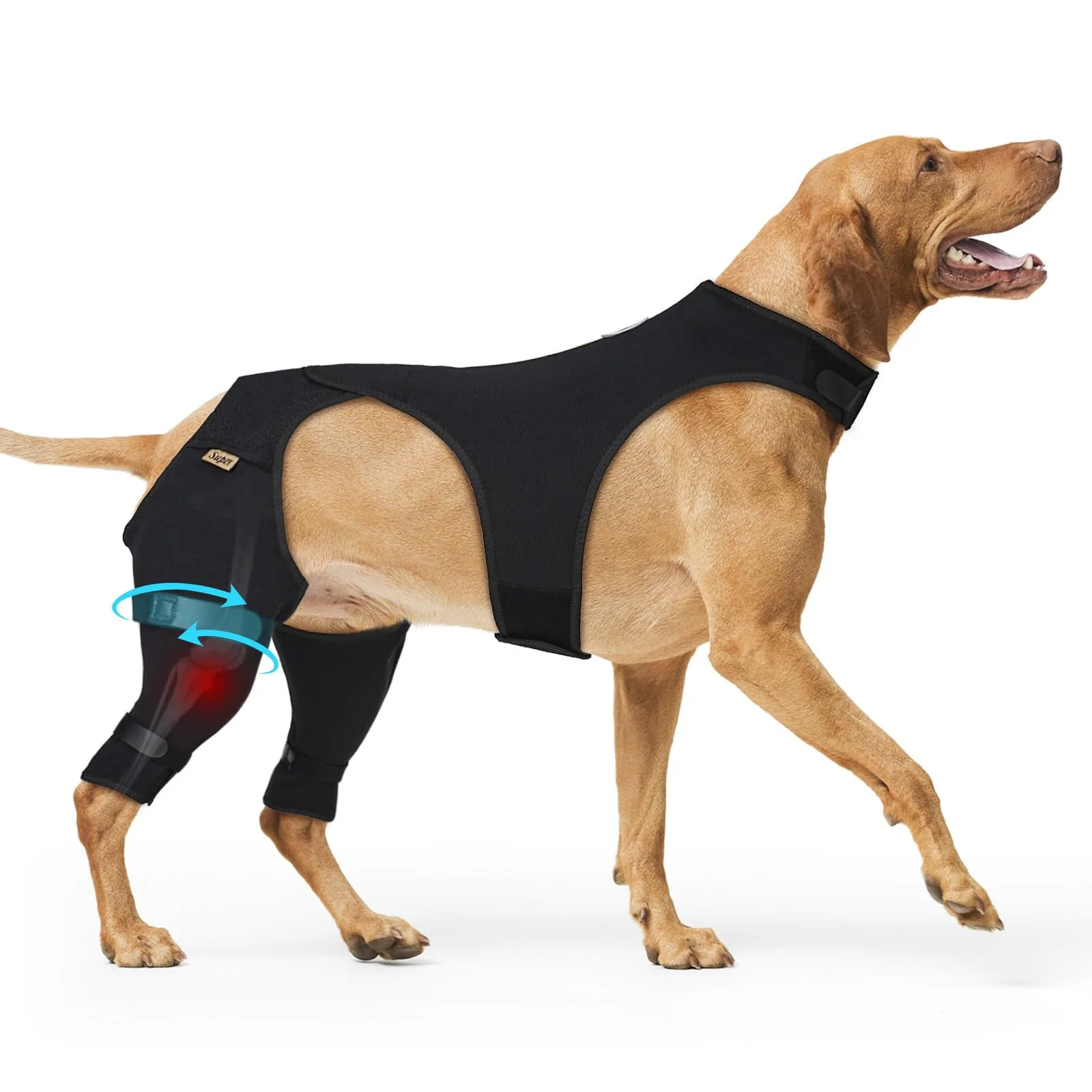 High-End Supet Recovery Sleeve for Dogs – Stop Licking After TPLO ACL Surgery Rear Leg Smart