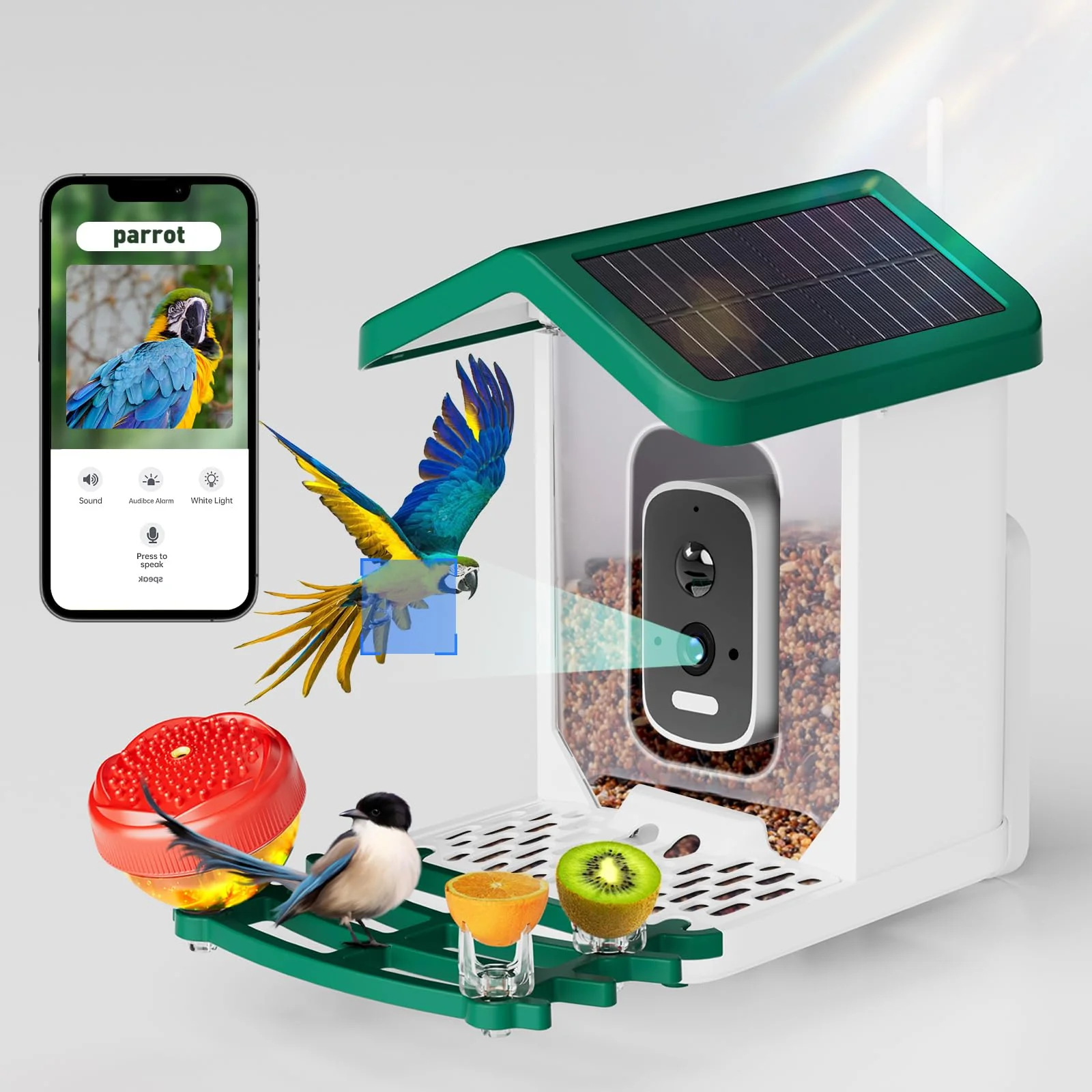 Safe Bsemax Smart Bird Feeder with Camera — Solar Powered 2.5K HD AI Species ID Night Vision User-Friendly