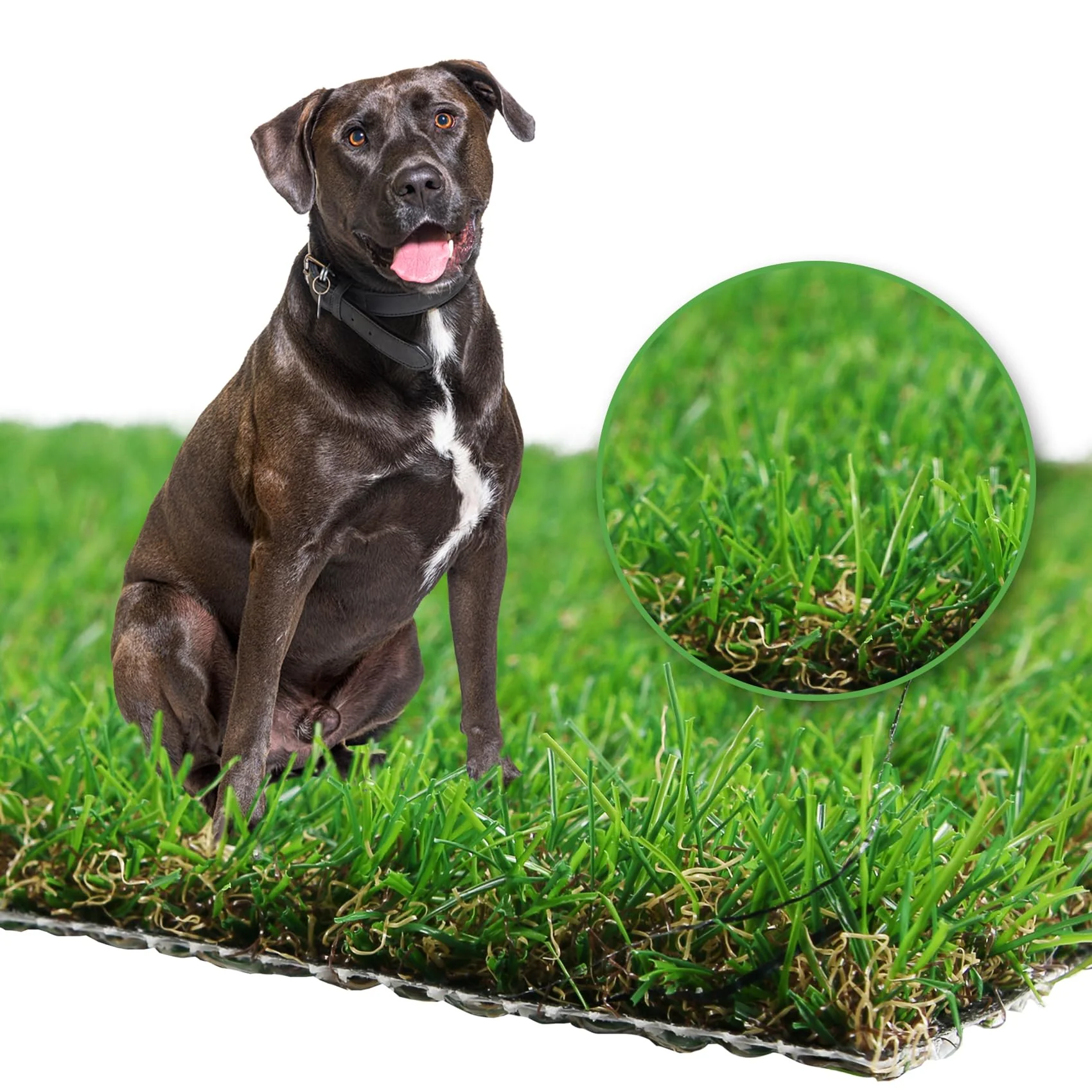Effective GLOBREEN 4x6 ft Large Dog Grass — istic Pet Turf for Balcony Patio Modern