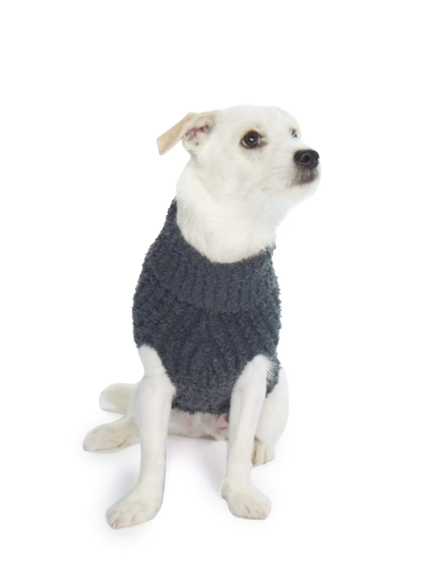 Secure Barefoot Dreams CozyChic Ribbed Pet Sweater – Slate Blue X-Large Original Design