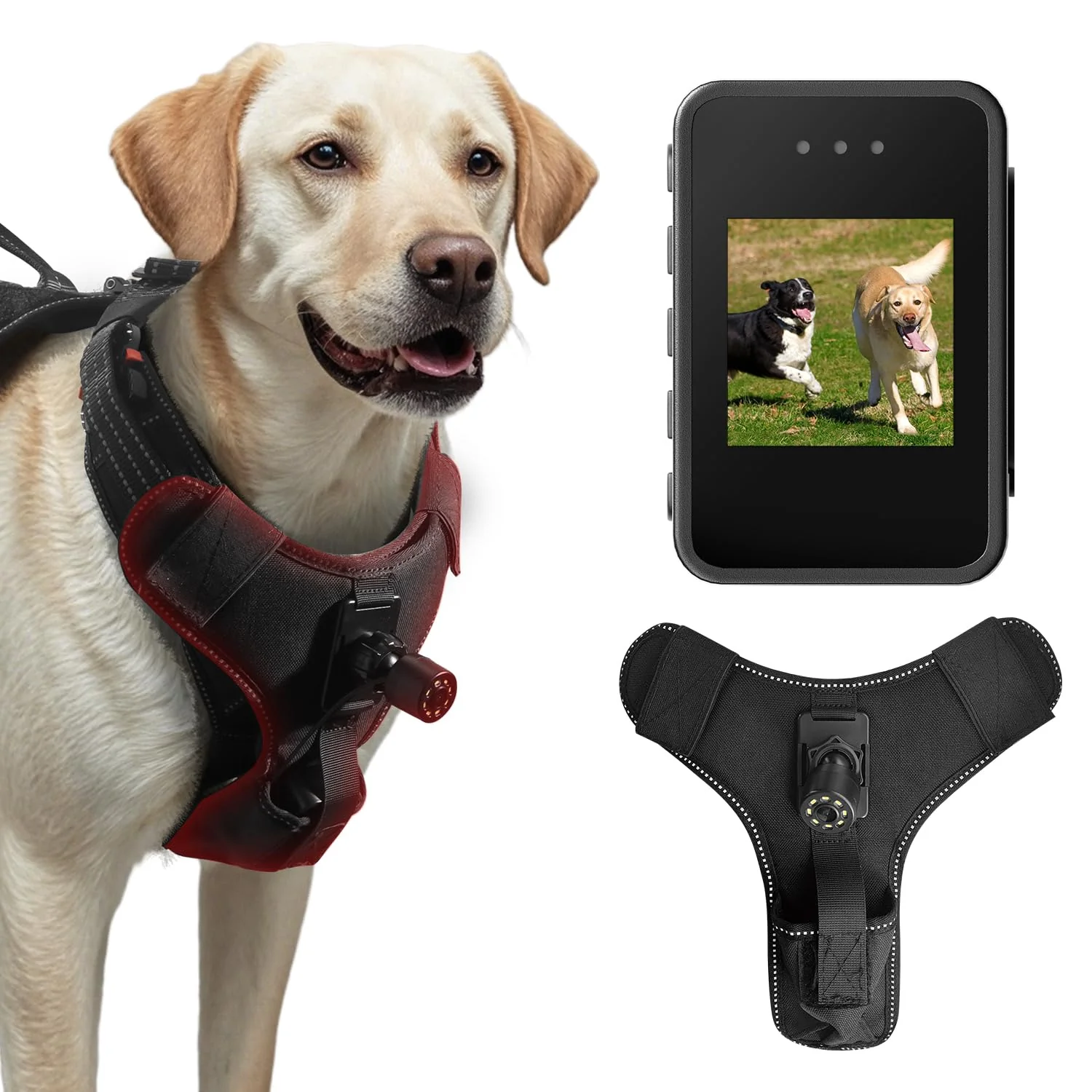 Luxury BEISLUO Dog Harness Camera – 1080P POV Recorder with 1.54 Display 32G SD Card Efficient
