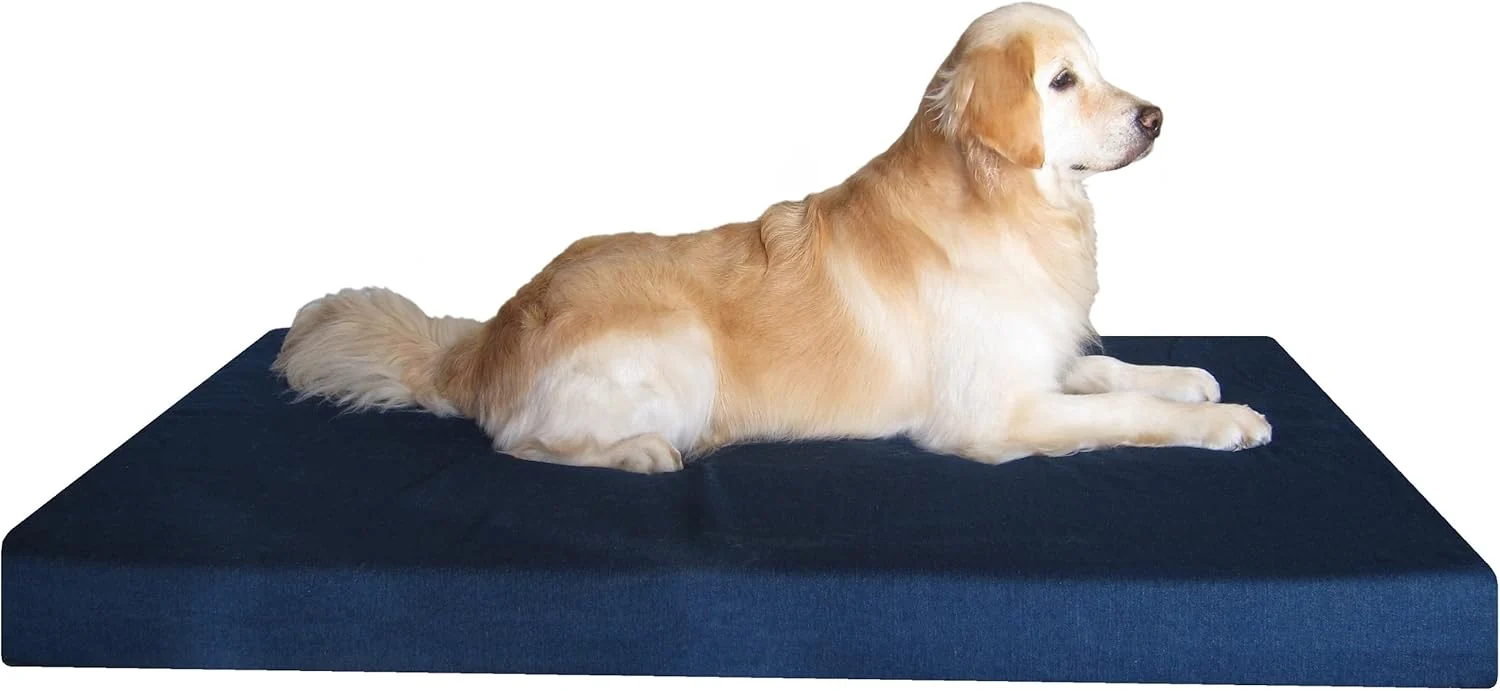 Exclusive Dogbed4less Jumbo Orthopedic Memory Foam Dog Bed for Large Dogs with Durable Denim Cover Waterproof Liner and Extra Pet Bed Case 55X47X4 Inches Original Design