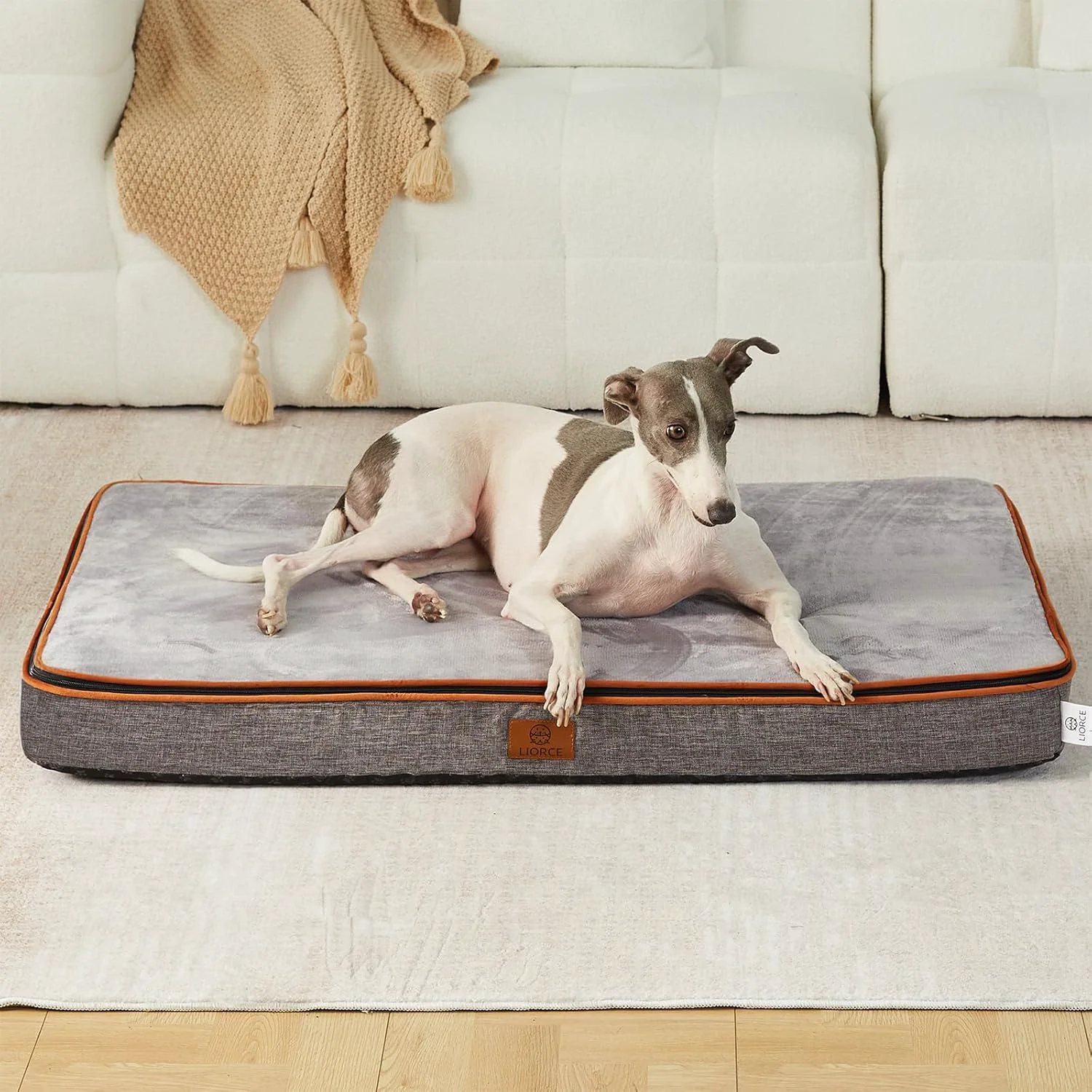 Selected Memory Foam Large Dog Bed - 4 Thick Orthopedic Beds for Large Dogs - Waterproof Dog Bed with Removable Washable Cover Wrap-Around Zipper - Comfort and Easy Maintenance Fashionable