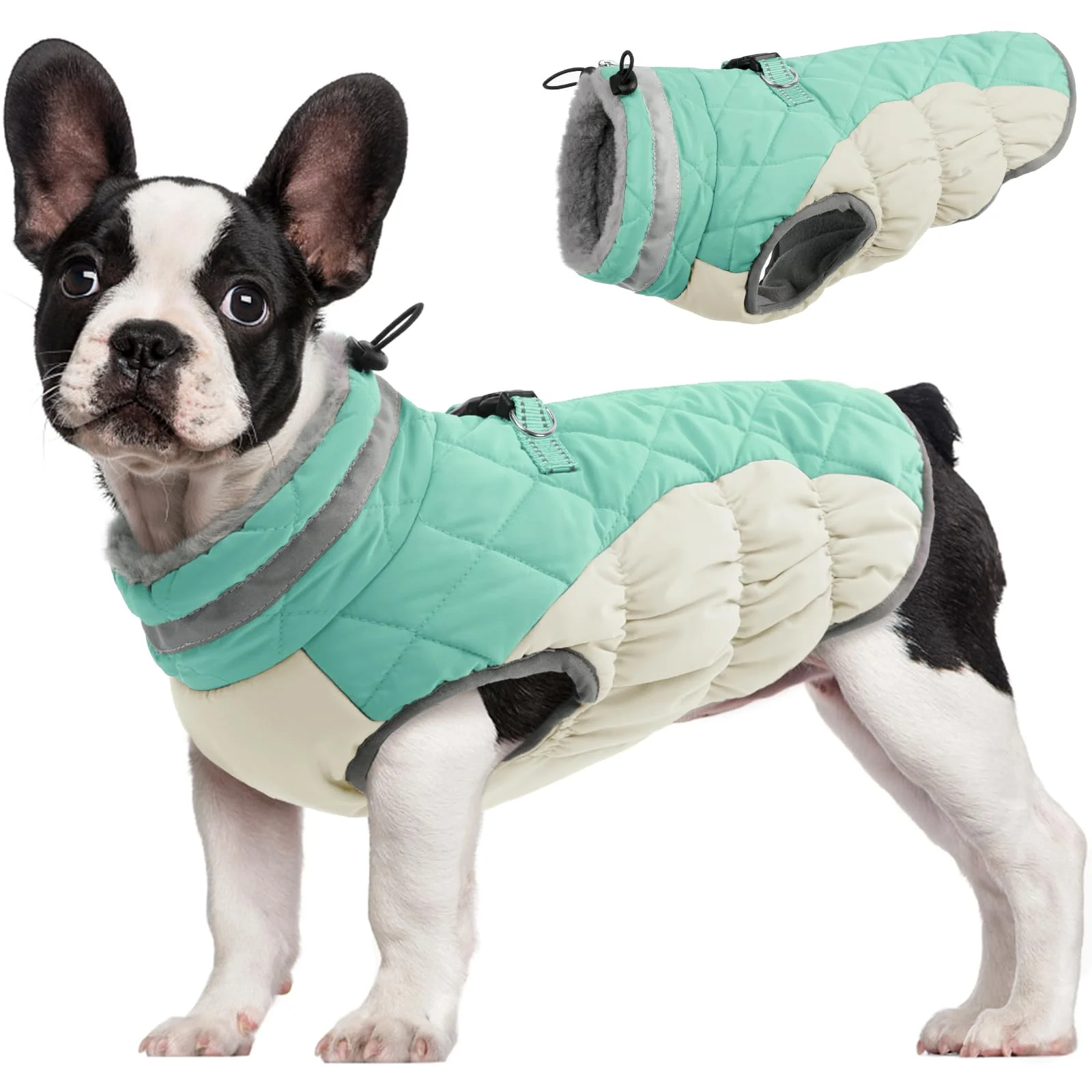 Original Design FUAMEY Dog Coat for Medium Dogs — Waterproof Winter Jacket with Built-in Harness Mint Green M Efficient