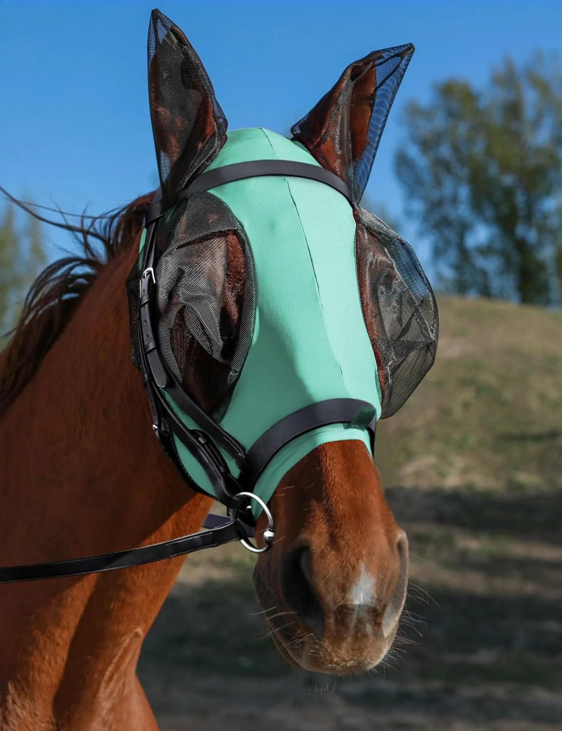 High-Quality Horse Fly Mask with Ears UV Protection for Horses Elasticity with Big Mesh Eye Covers Snug Fitting Comfortable Breathable Lightweight for Horses Gentle Mint Cob Secure