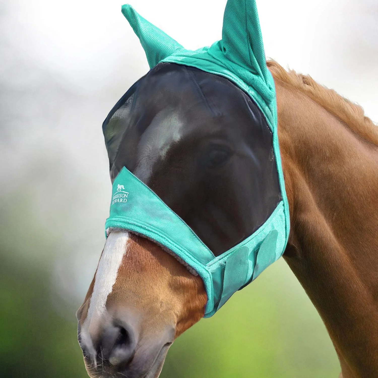 Sustainable Harrison Howard CareMaster Pro Luminous Horse Fly Mask Large Eye Space Standard with Ears UV Protection for Horse Summer Mint M Cob Practical