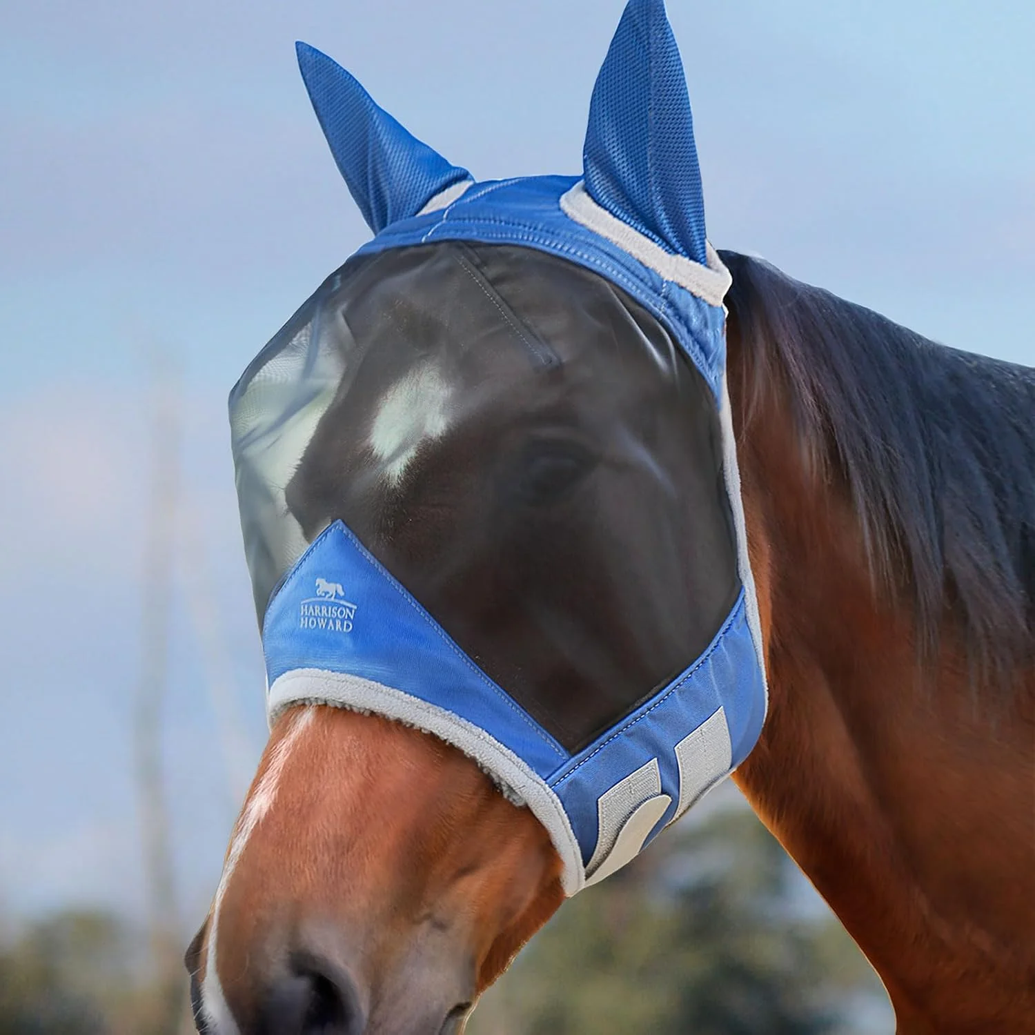High-Quality Harrison Howard CareMaster Pro Luminous Horse Fly Mask Large Eye Space Standard with Ears UV Protection for Horse Royal Blue Full Size Fast