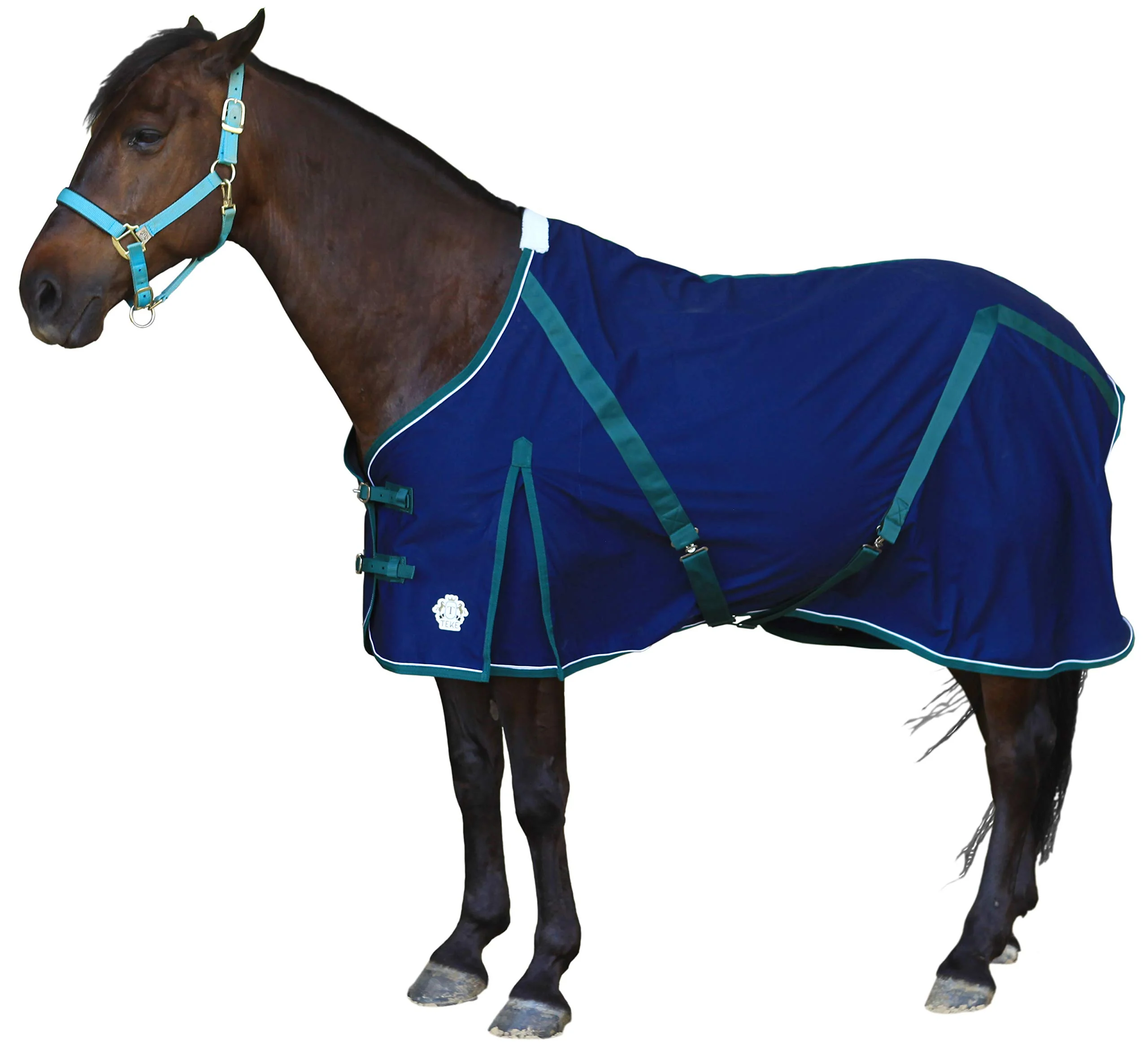 Responsible T TEKE Deluxe Horse Canvas Sheet — Snug Clean Stable Layer 51-87 in Includes Mini Horse Premium