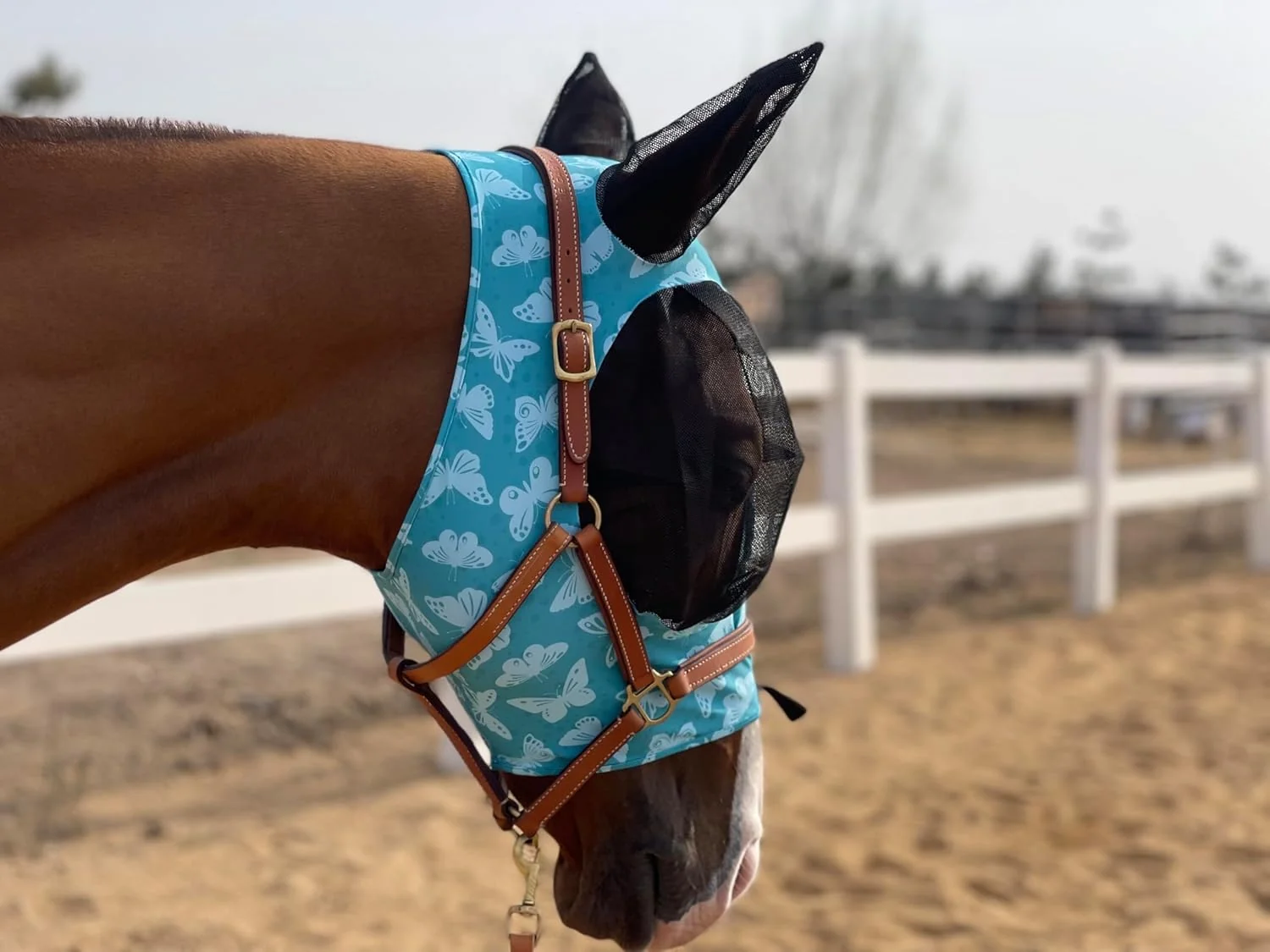 Genuine Horse Fly Mask Super Comfort Horse Fly Mask Elasticity Fly Mask with Ears We Only Make Products That Horses Like… Lake Green L Convenient