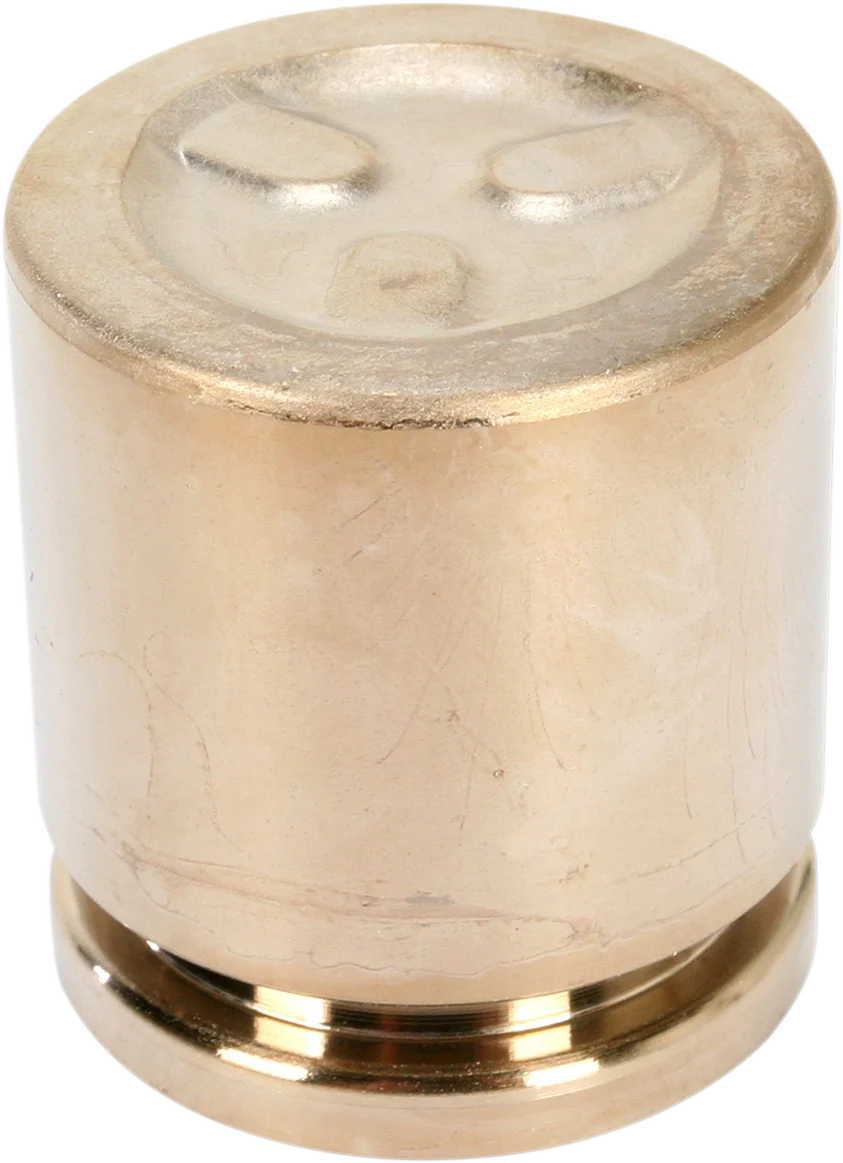 Long-Lasting MOOSE UTILITY Front Brake Caliper Piston - TRX 08-953M Dependable
