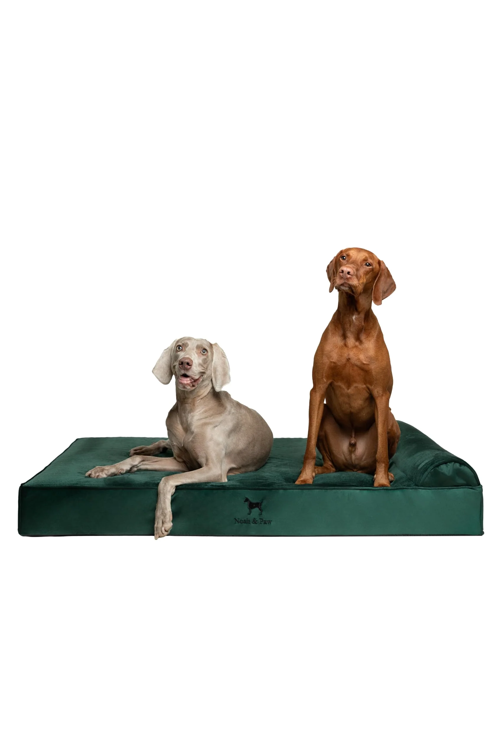 Secure NOAH PAW Giant Dog Bed XXL 55x45 – Orthopedic Memory Foam with Cooling Gel Selected