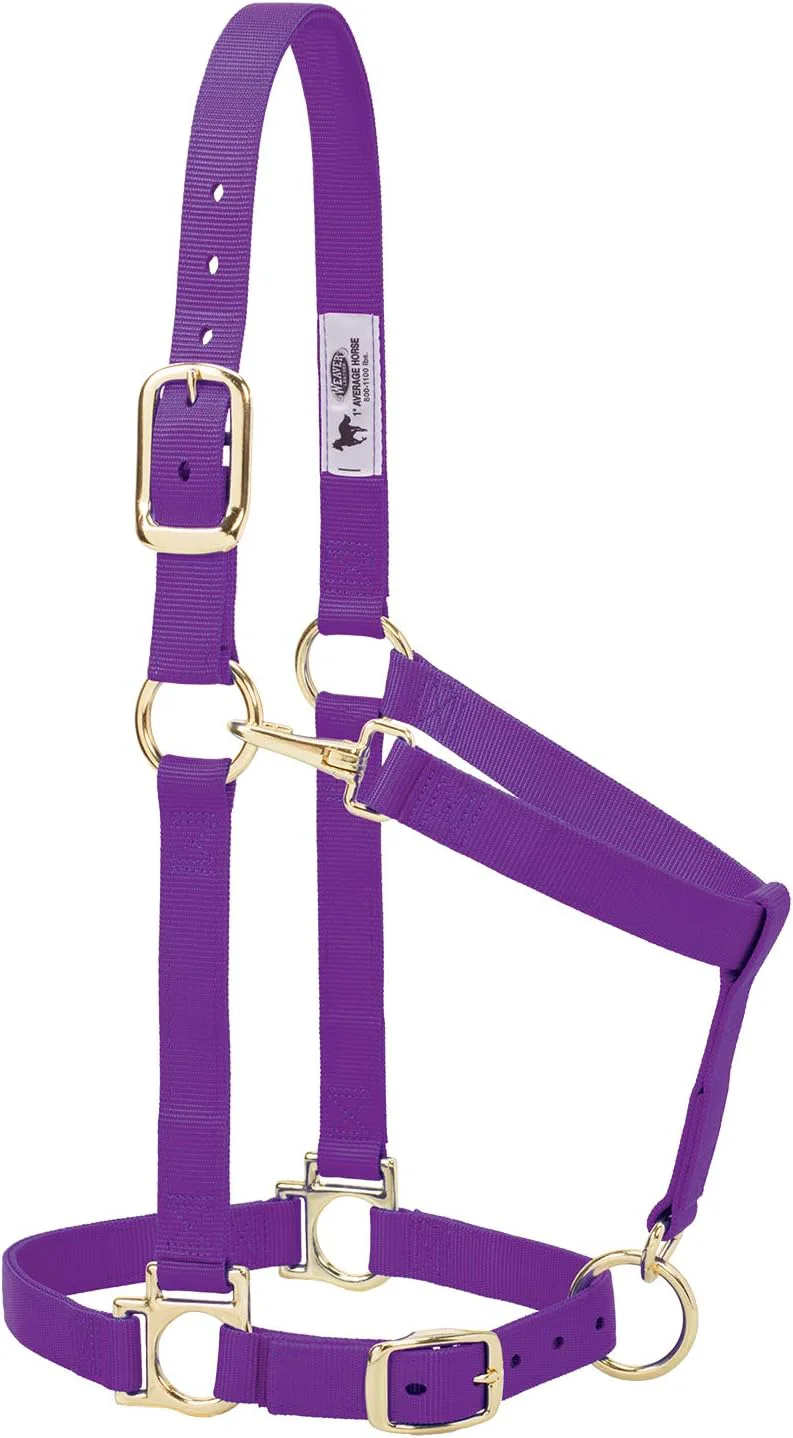 Lightweight Weaver Leather Nylon Horse Halter Padded and Adjustable Chin and Throat Snap Hook Halters for Horses Brass Plated Halters for Training High-End