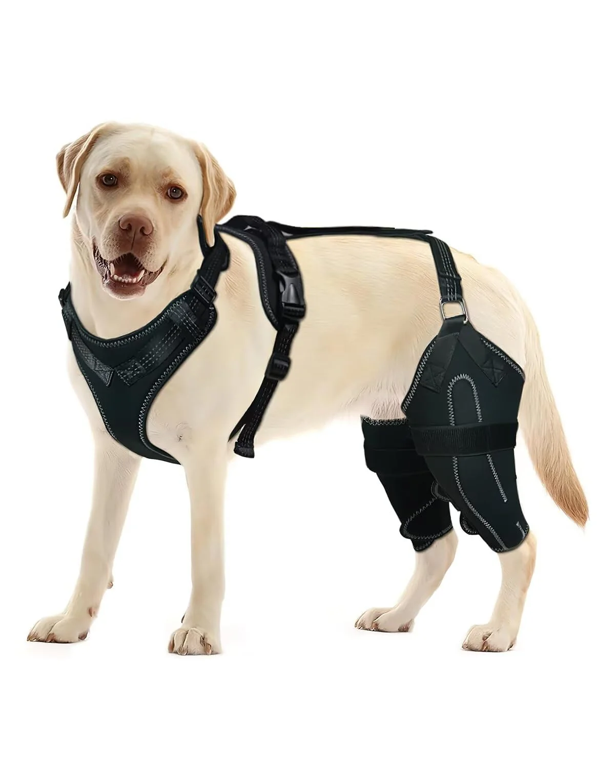 Practical LISPOO Dog Knee Brace - Adjustable Non-Slip Support for ACL CCL XL Soft