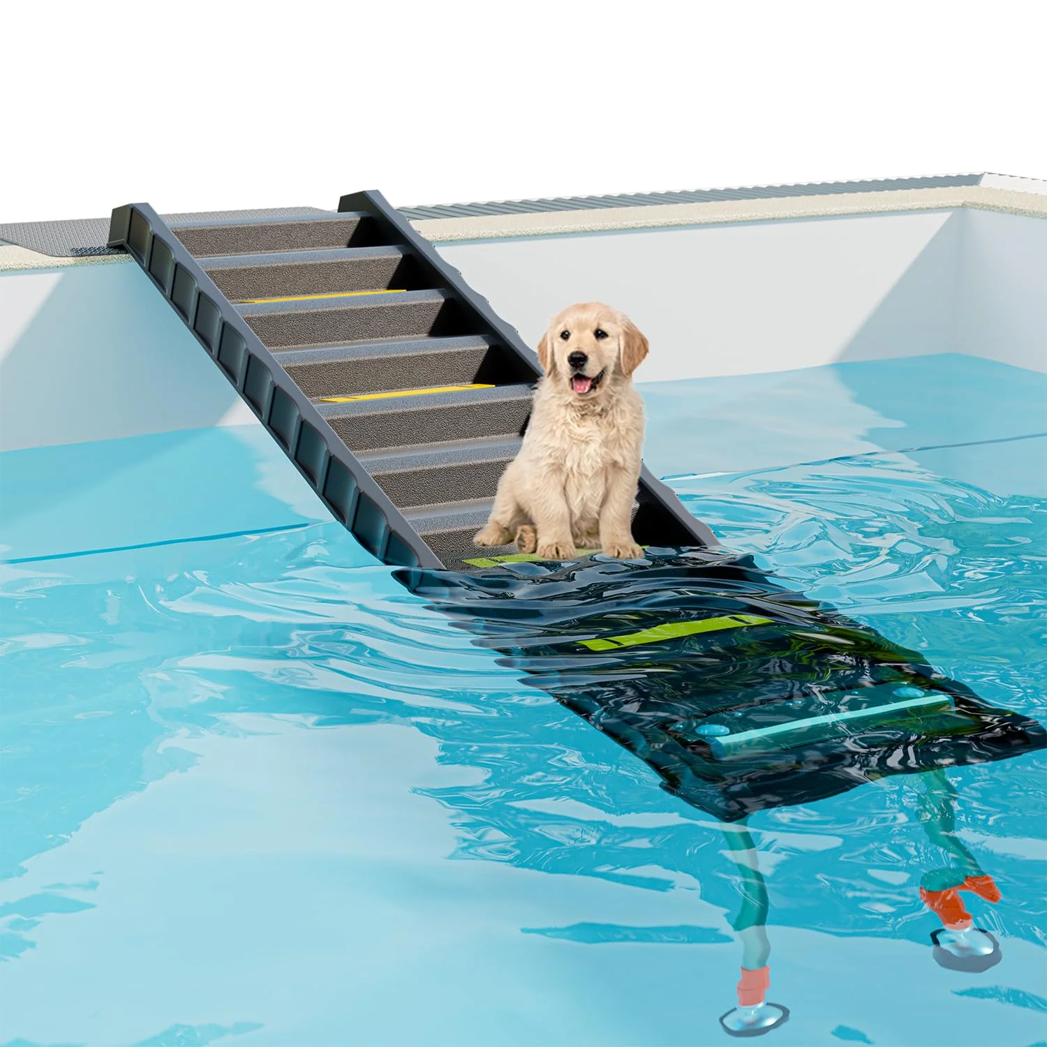 Easy-to-Use CHOOSEU Foldable Dog Pool Ramp — 33 Legs Adjustable Height Up to 200 lbs Contemporary
