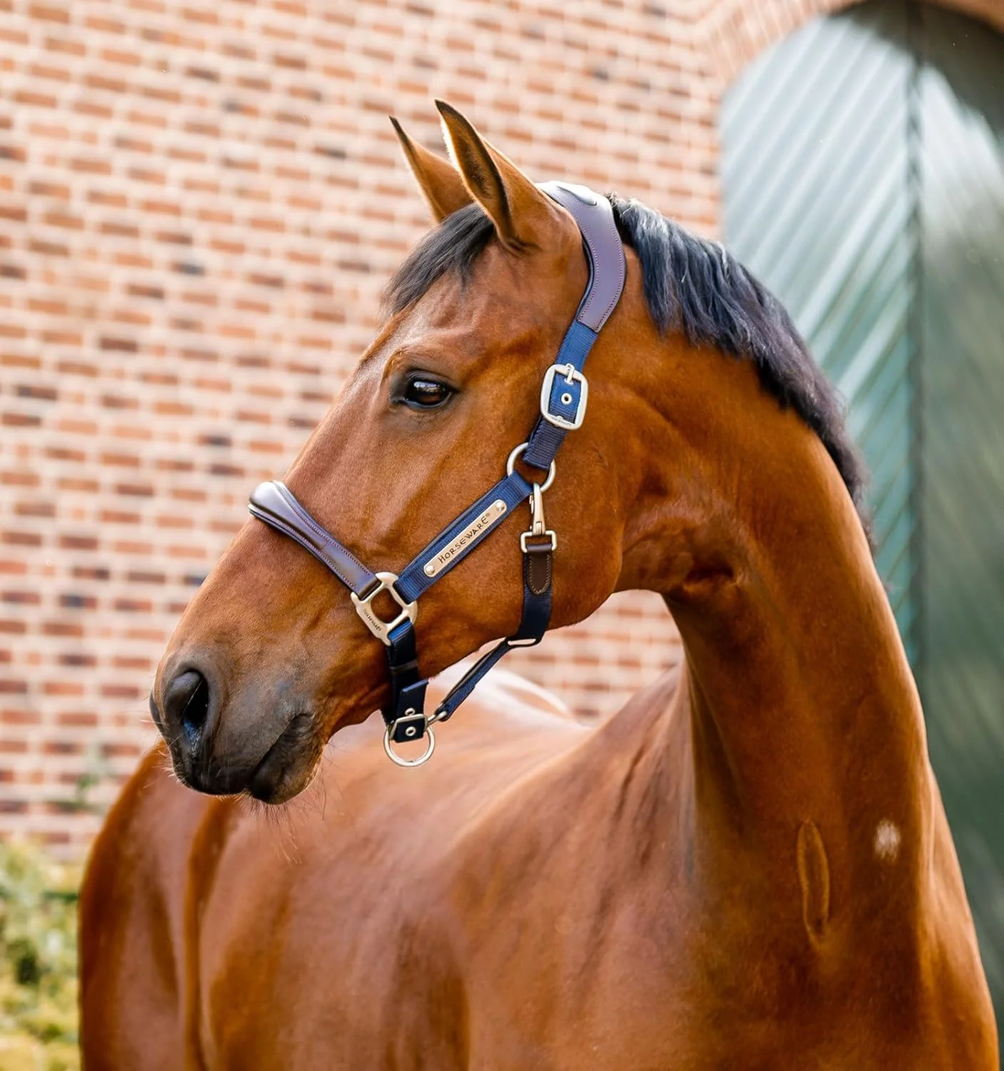 Carefully Designed Horseware® Signature Competition Halter Premium