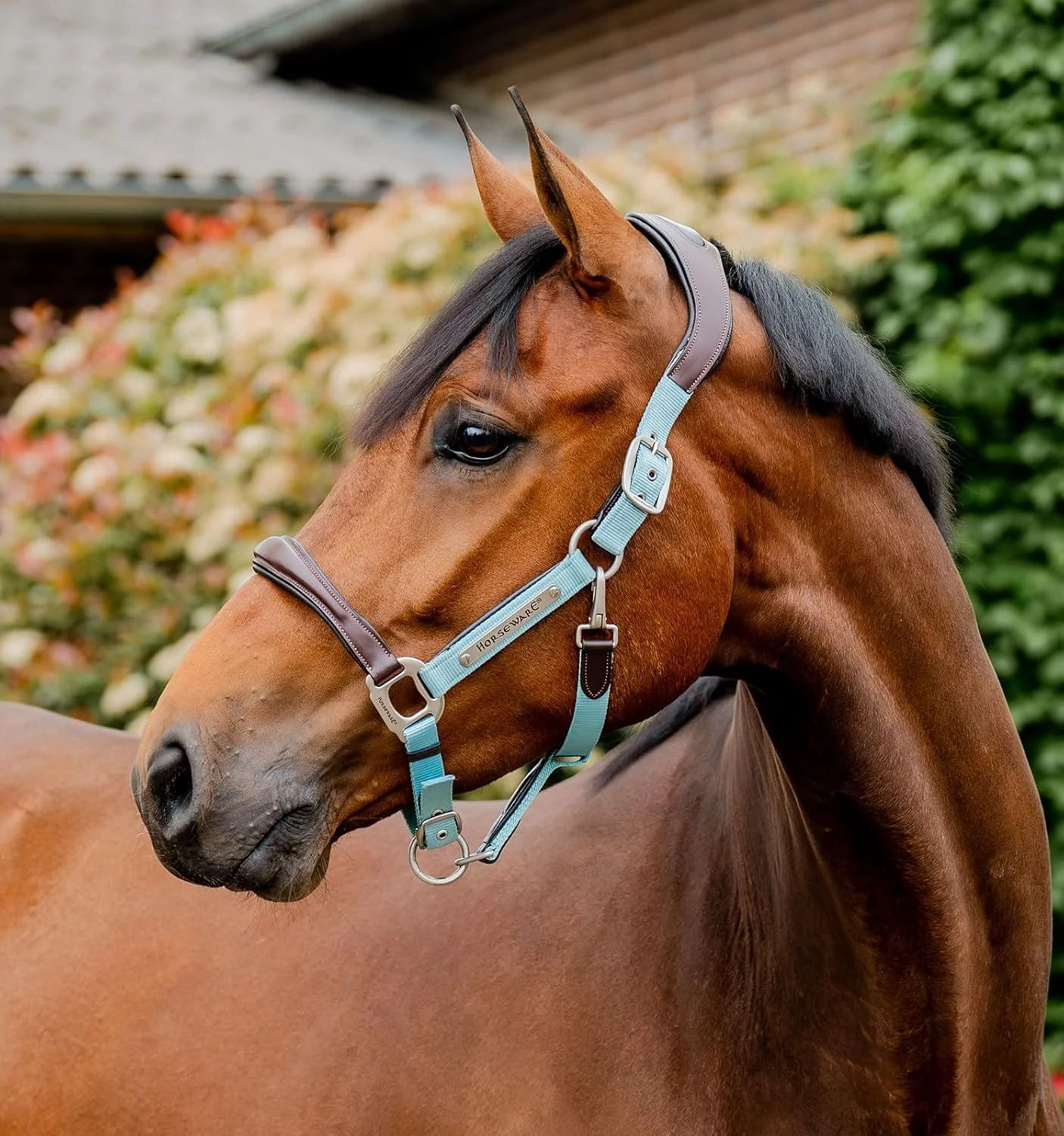 Dependable Horseware® Signature Competition Halter Smart