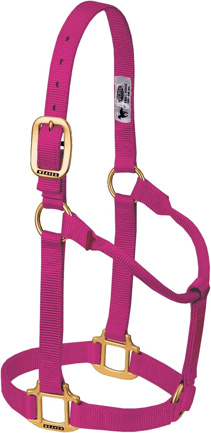 Smooth Weaver Equine Nylon Horse Halter Triple-Ply Cheek Design Non Adjustable Halters for Horses Equine Tack Average Size Black Efficient