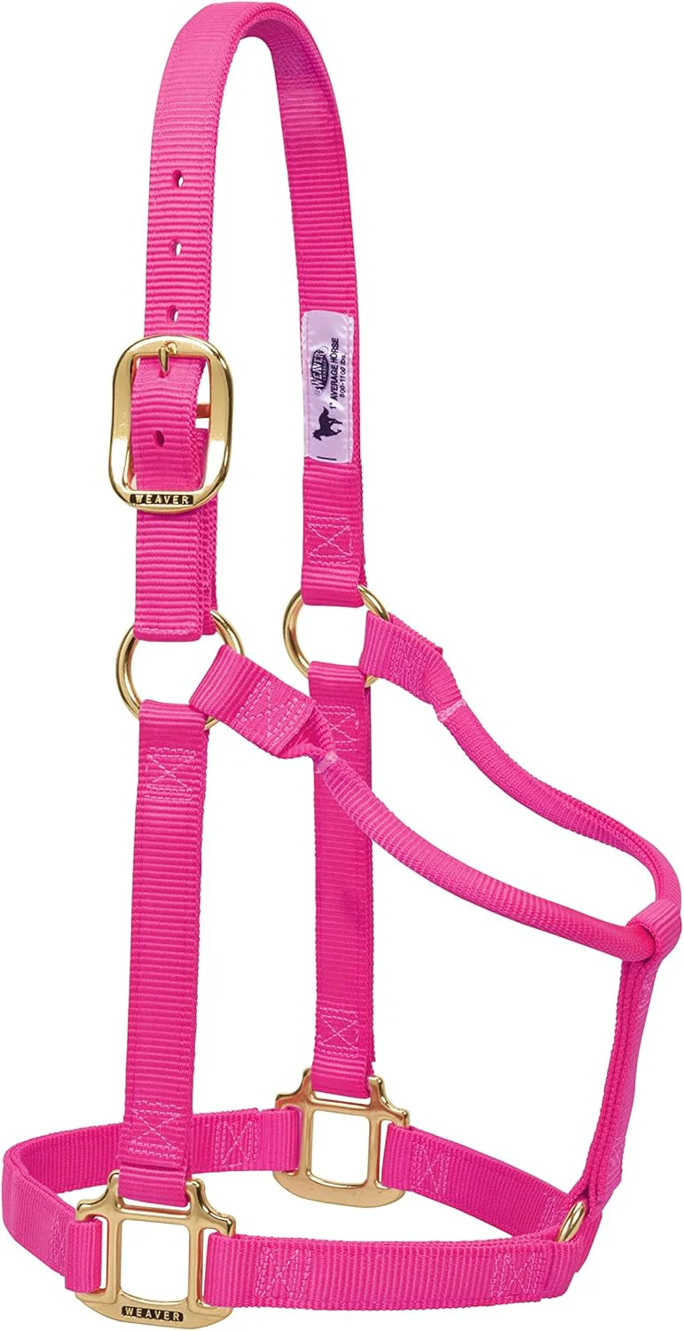 Detailed Weaver Equine Nylon Horse Halter Triple-Ply Cheek Design Non Adjustable Halters for Horses Equine Tack Average Size Black Functional