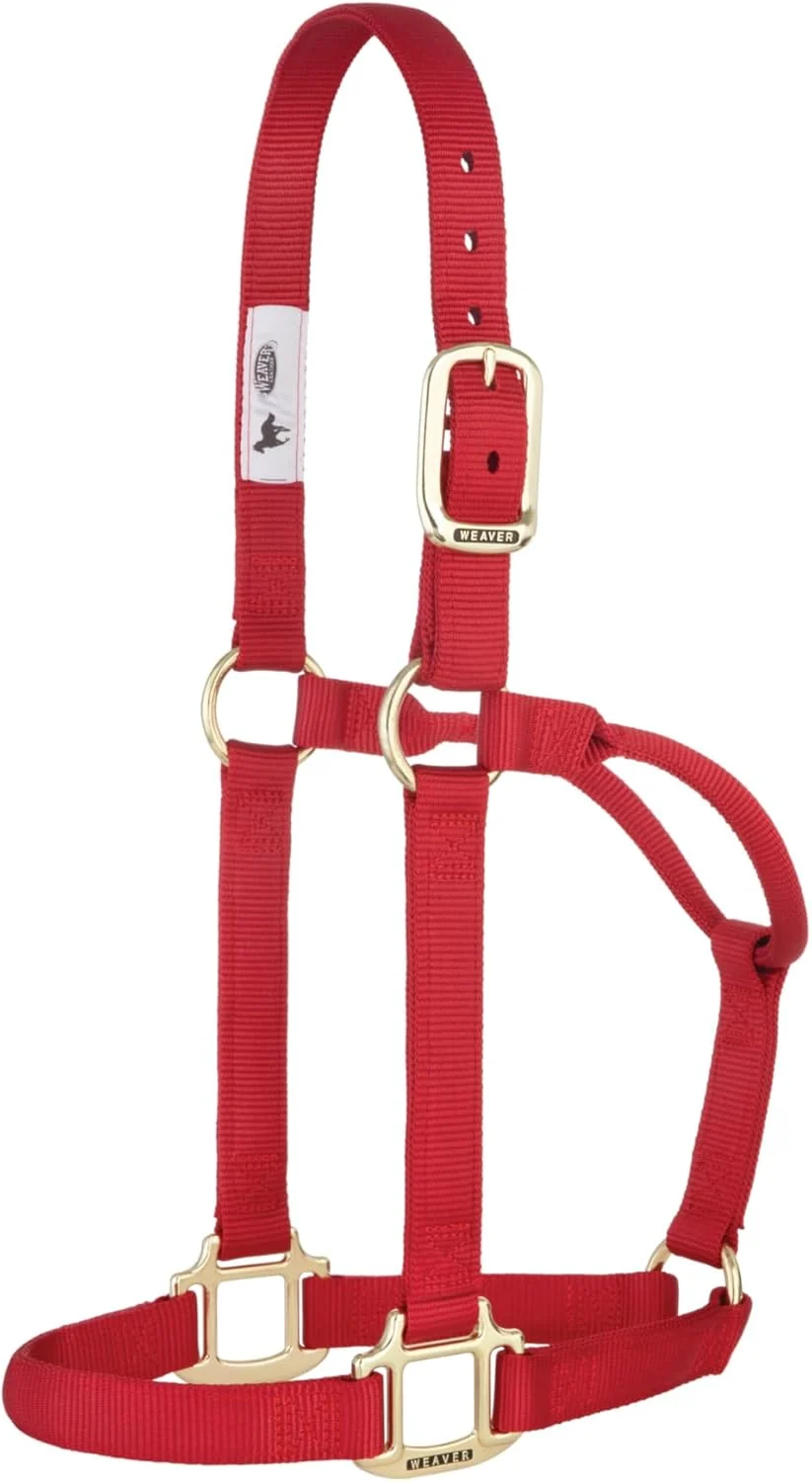 Fast Weaver Equine Nylon Horse Halter Triple-Ply Cheek Design Non Adjustable Halters for Horses Equine Tack Average Size Black Artisan