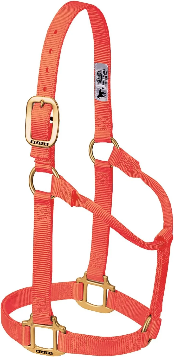 Outstanding Weaver Equine Nylon Horse Halter Triple-Ply Cheek Design Non Adjustable Halters for Horses Equine Tack Average Size Black Fast