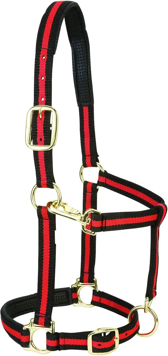 Convenient Weaver Equine Nylon Horse Halter Triple-Ply Cheek Design Non Adjustable Halters for Horses Equine Tack Average Size Black Minimalist