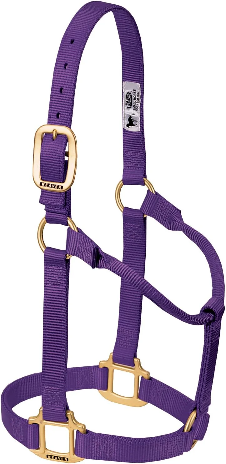 Excellent Weaver Equine Nylon Horse Halter Triple-Ply Cheek Design Non Adjustable Halters for Horses Equine Tack Average Size Black High-Quality
