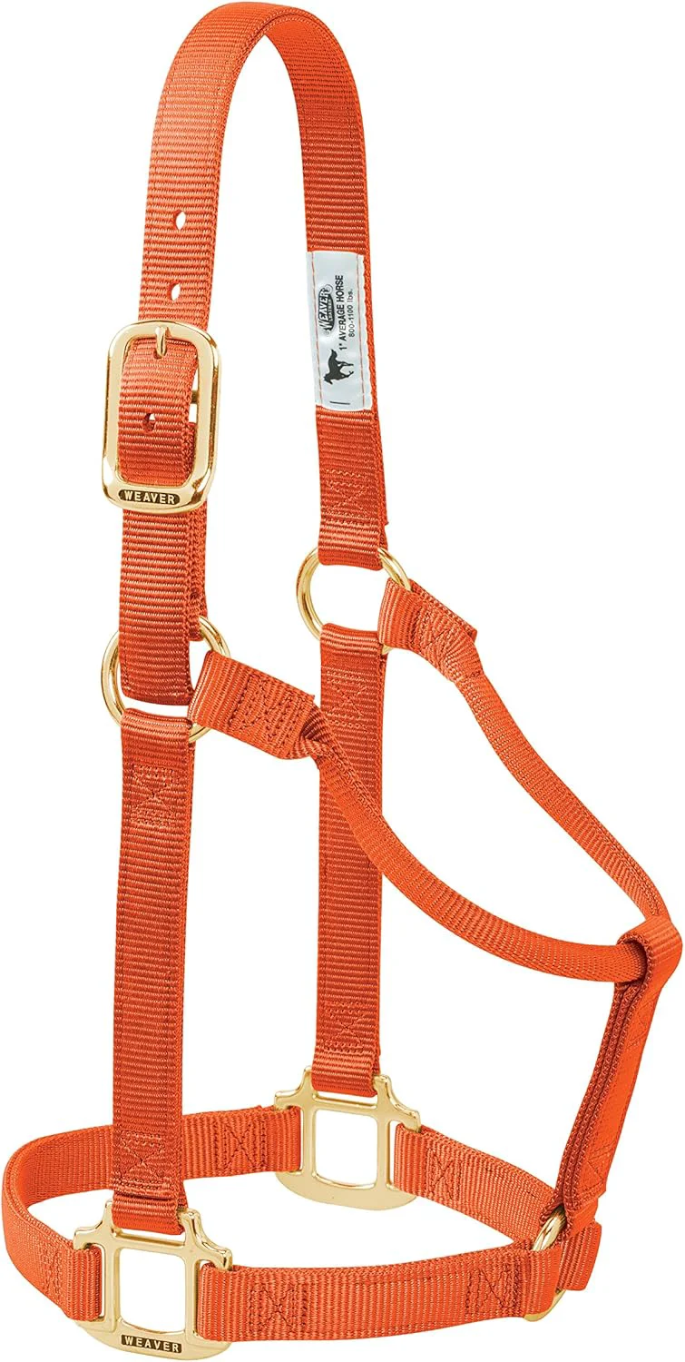Prestigious Weaver Equine Nylon Horse Halter Triple-Ply Cheek Design Non Adjustable Halters for Horses Equine Tack Average Size Black Trusted