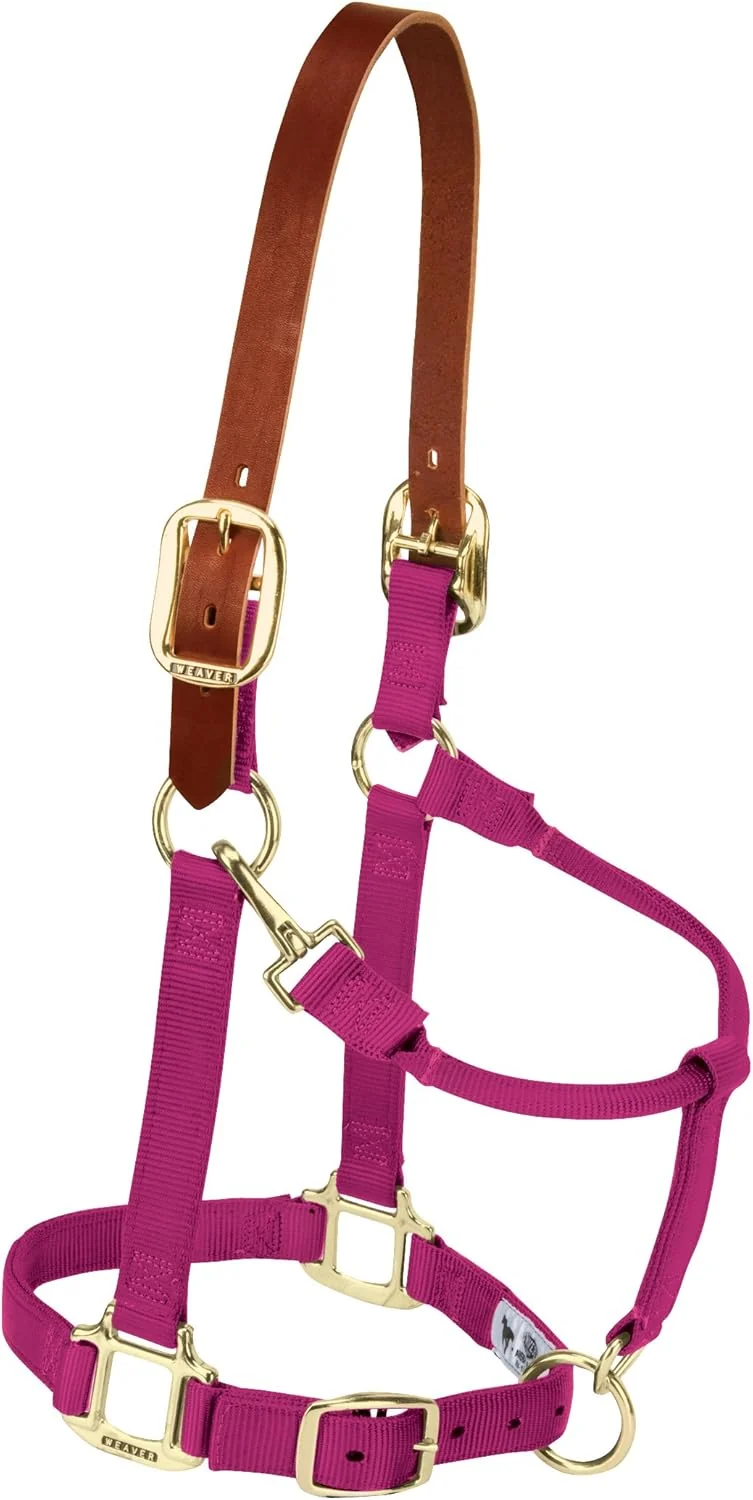 Exclusive Weaver Equine Nylon Horse Halter Triple-Ply Cheek Design Non Adjustable Halters for Horses Equine Tack Average Size Black Proven