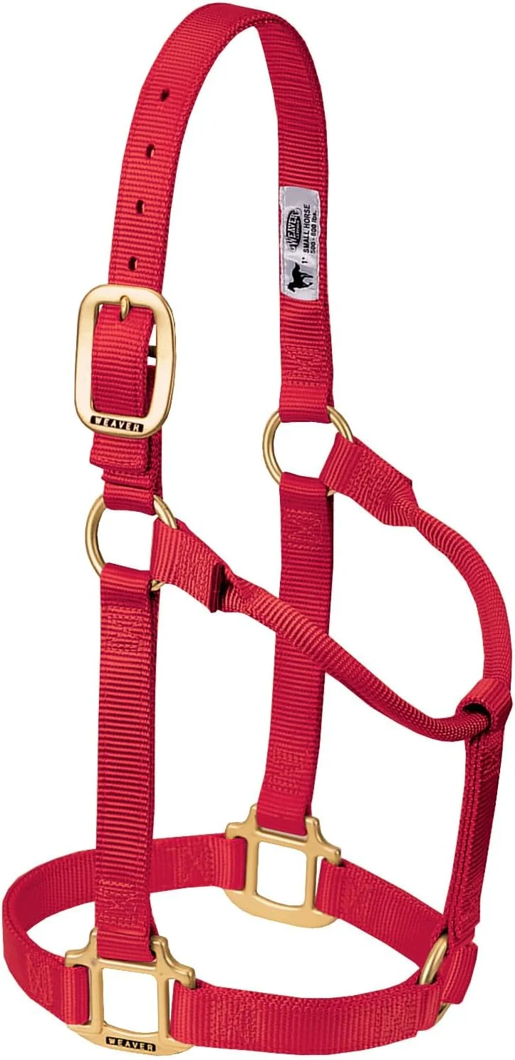 Responsible Weaver Equine Nylon Horse Halter Triple-Ply Cheek Design Non Adjustable Halters for Horses Equine Tack Average Size Black Effective