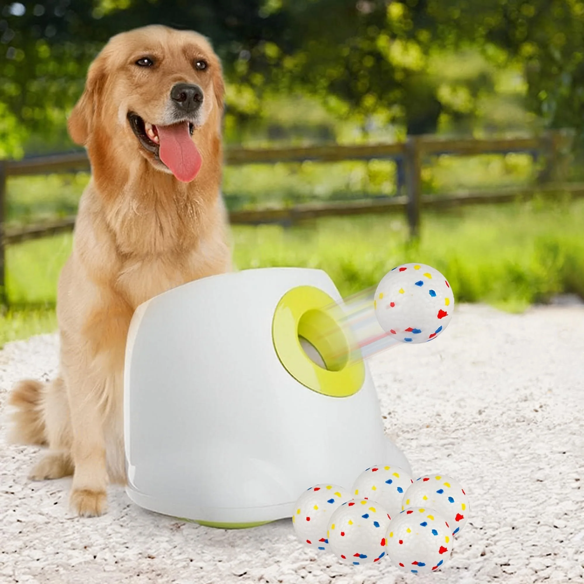 Reliable ALL FOR PAWS Automatic Dog Ball Launcher with 2.5in EPTU Balls Medium–Large Dogs Artisan