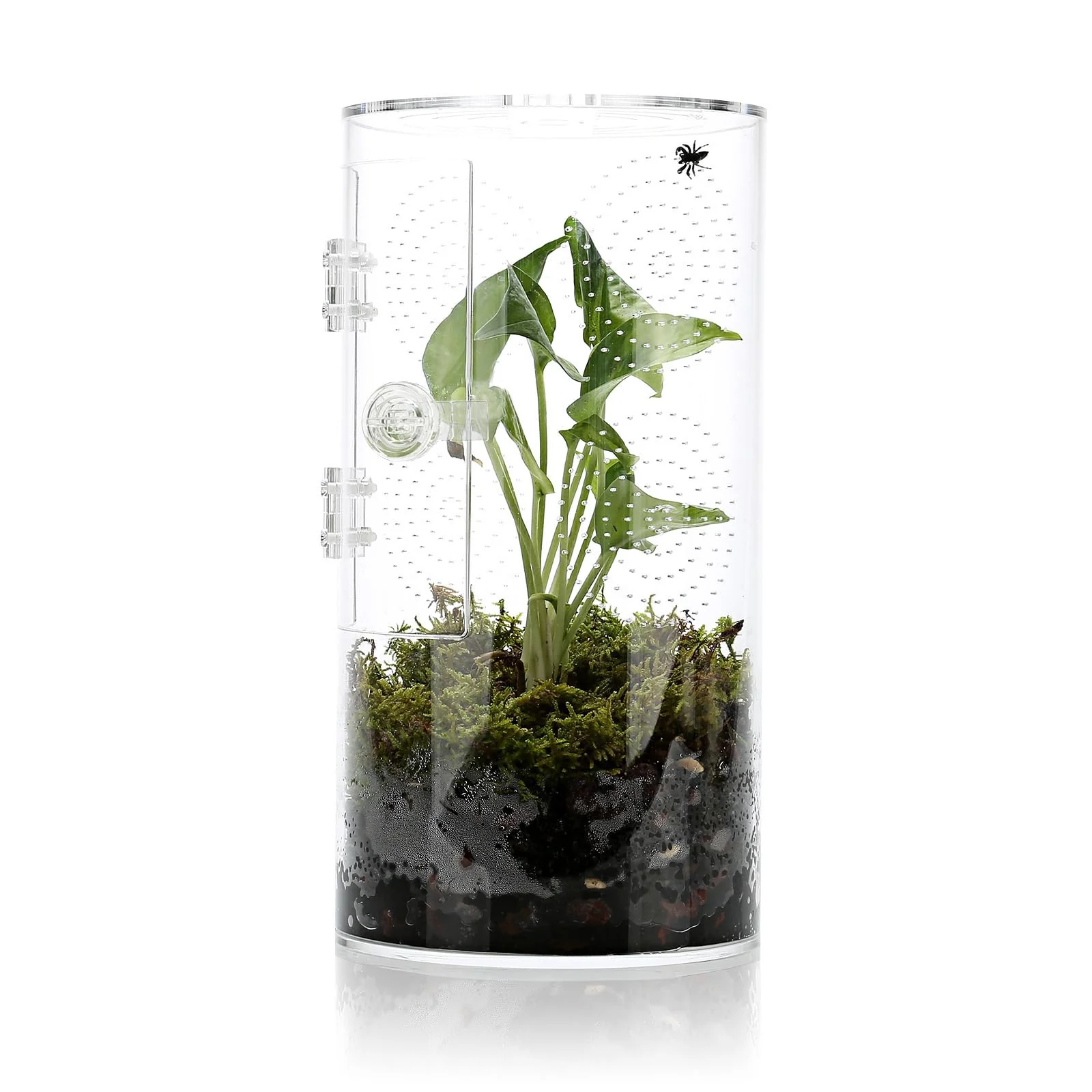 Lightweight LYL LEYOULAND Jumping Spider Enclosure — 11.5 x 6 x 6 in Front-Opening Door Micro Habitat Practical