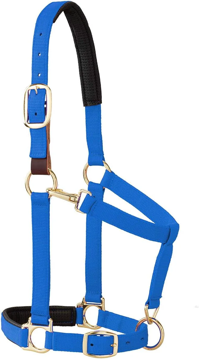 Elite Weaver Equine Breakaway Horse Halter Comfort Foam Padding Adjustable Chin Throat Snap Halters for Horses Equine Tack Average Size Blue Practical
