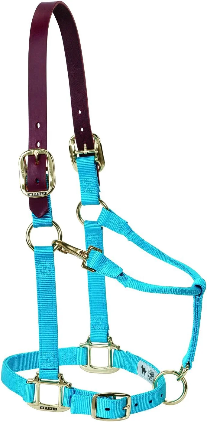 Crafted Weaver Equine Breakaway Horse Halter Supple Leather Crown Adjustable Chin Throat Snap Halters for Horses Equine Tack Fine