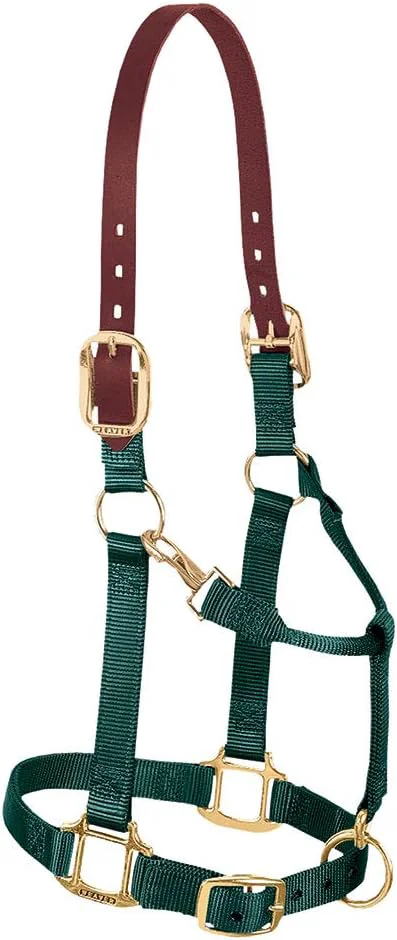 Luxury Weaver Equine Breakaway Horse Halter Supple Leather Crown Adjustable Chin Throat Snap Halters for Horses Equine Tack Long-Lasting
