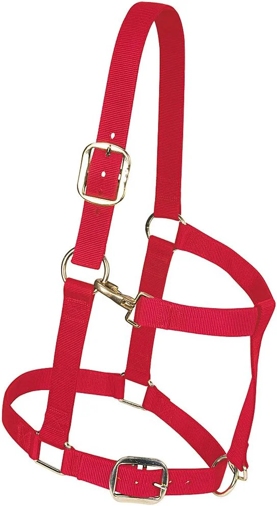 Excellent Weaver Leather Adjustable Nylon Horse Halter Organic