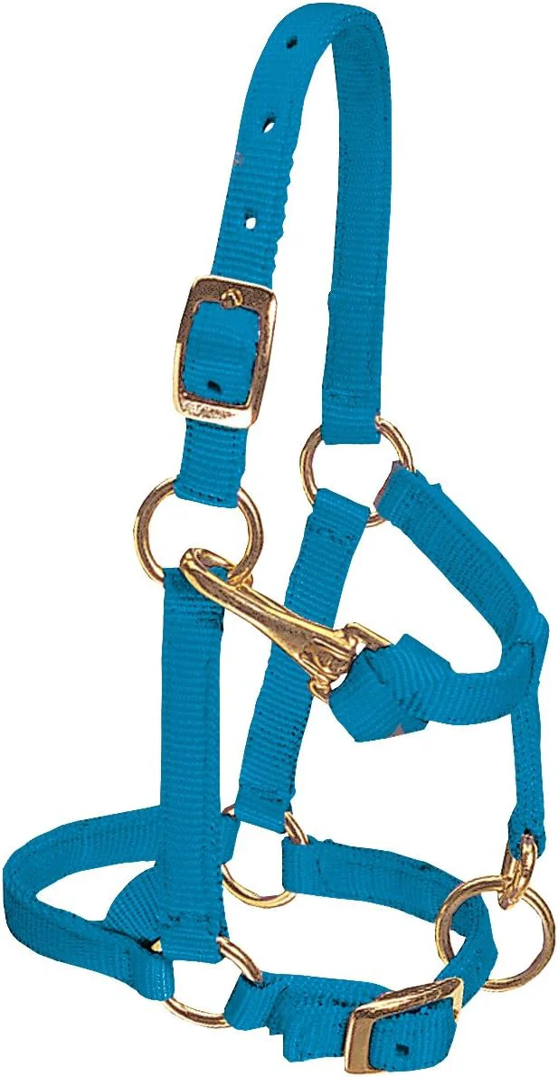 Organic Weaver Leather Adjustable Nylon Horse Halter High-End