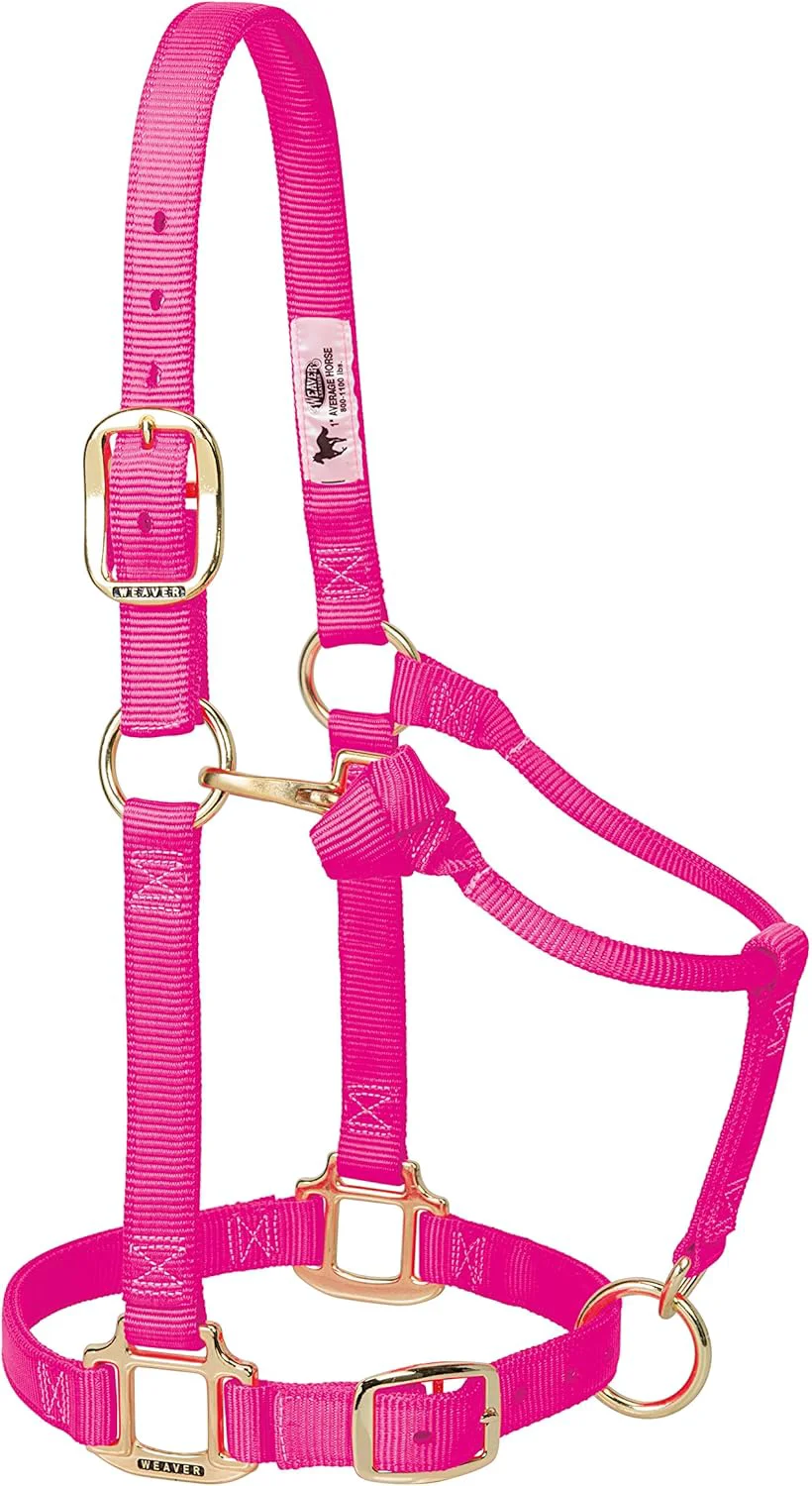 Practical Weaver Leather Adjustable Nylon Horse Halter Selected