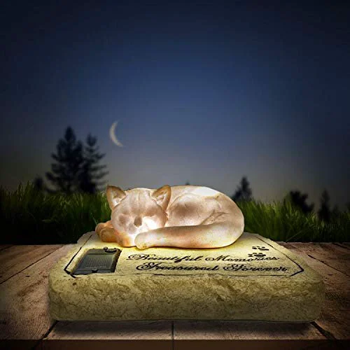 Healthy Carchistan Solar Light Cat Memorial Stone with Sleeping Kitty – Outdoor Glow Grave Marker Selected