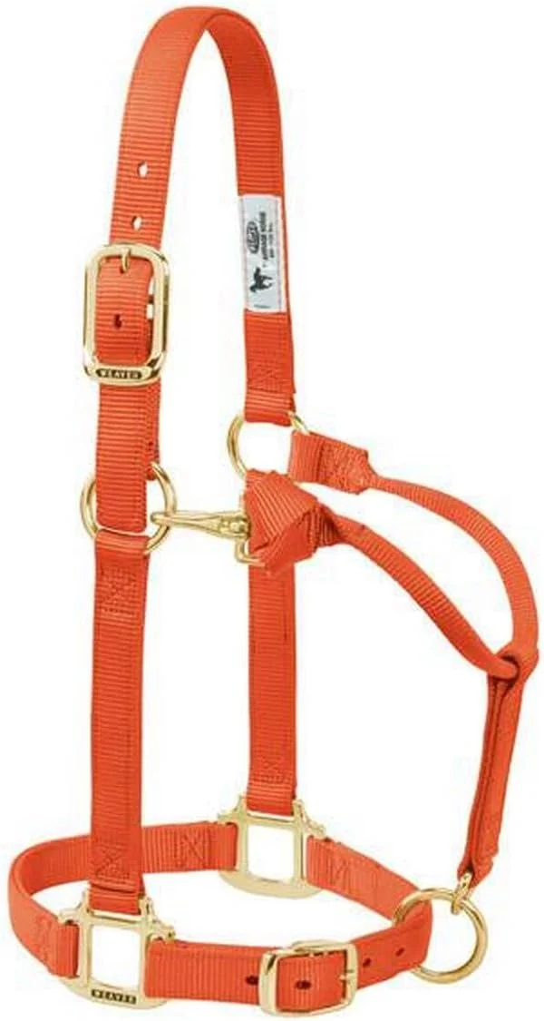 Green Weaver Leather Adjustable Nylon Horse Halter Prestigious