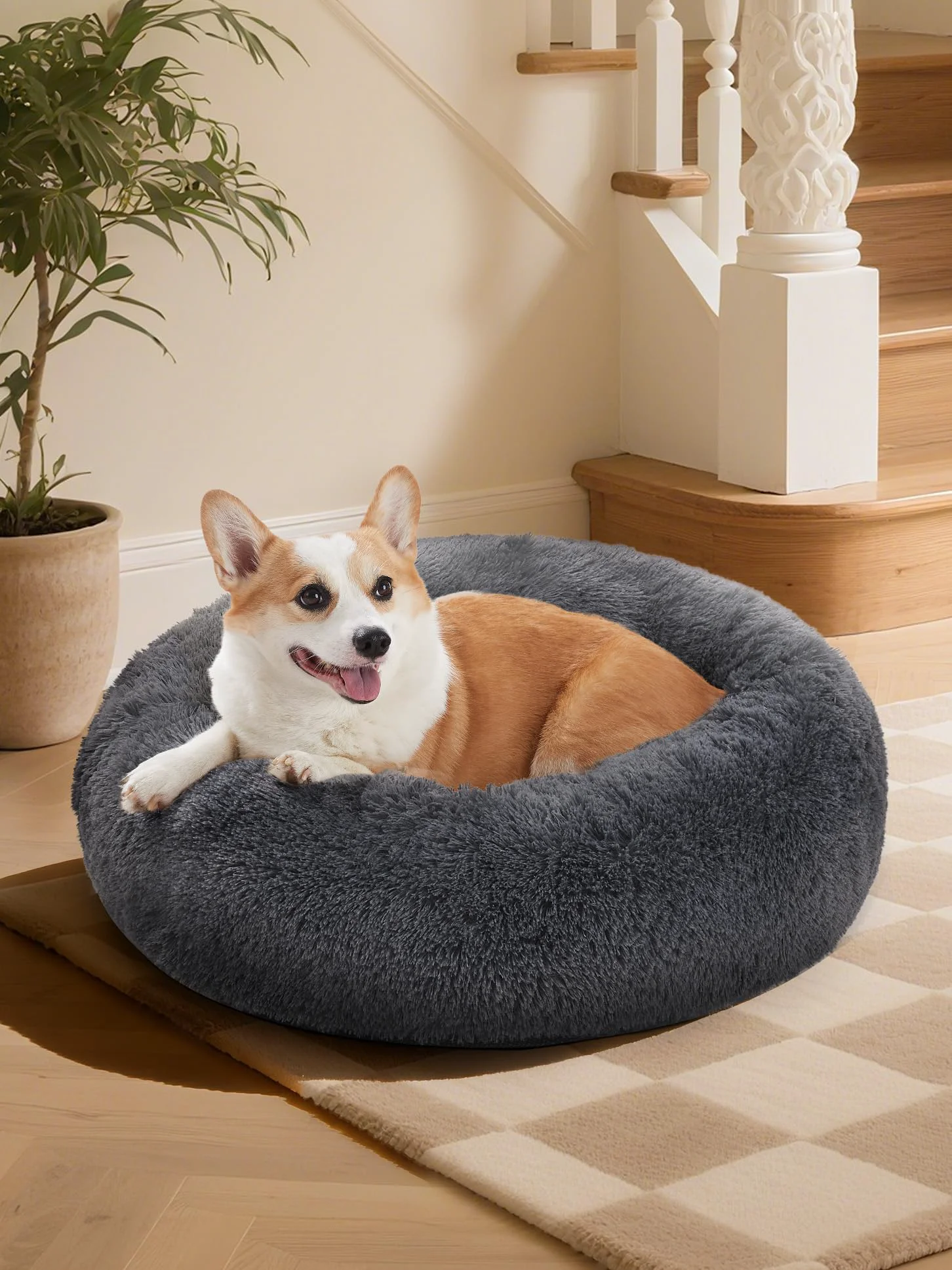 Official OhGeni 30-Inch Calming Donut Orthopedic Bed for Medium Pets – Waterproof Cover Smooth