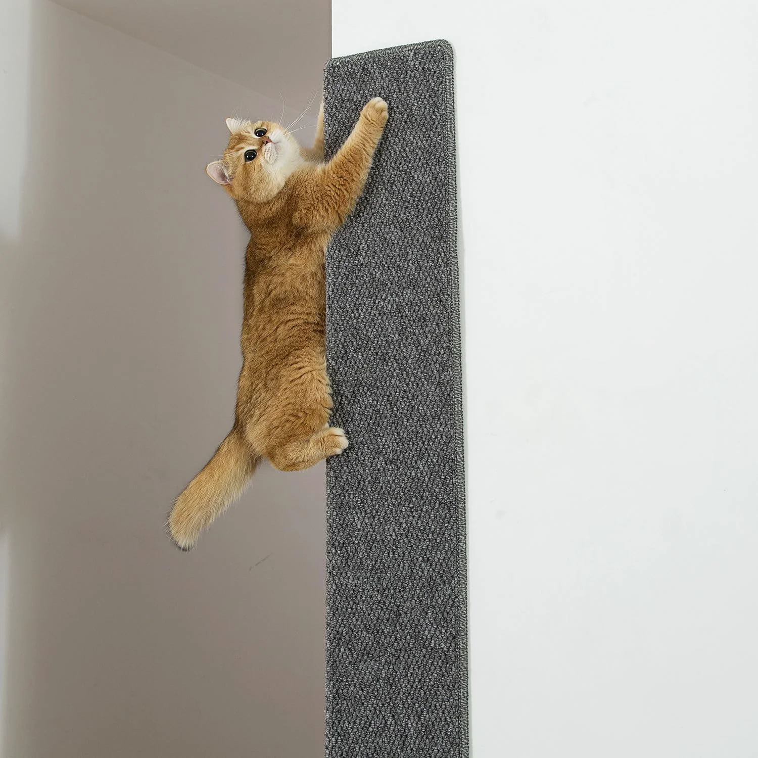 Eco-Friendly SHENGOCASE Thickened Cat Wall Corner Climbing Carpet Cat Wall Furniture Wall Corner Scratcher Scratching Post Gray Grey Elegant