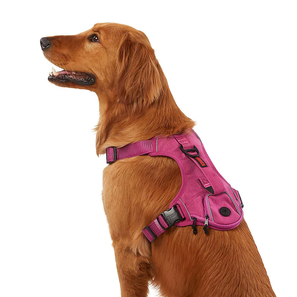 Exclusive KONG Ultra Durable Waste Bag Harness Small Pink – Adjustable Reflective Built-in Dispenser Effective