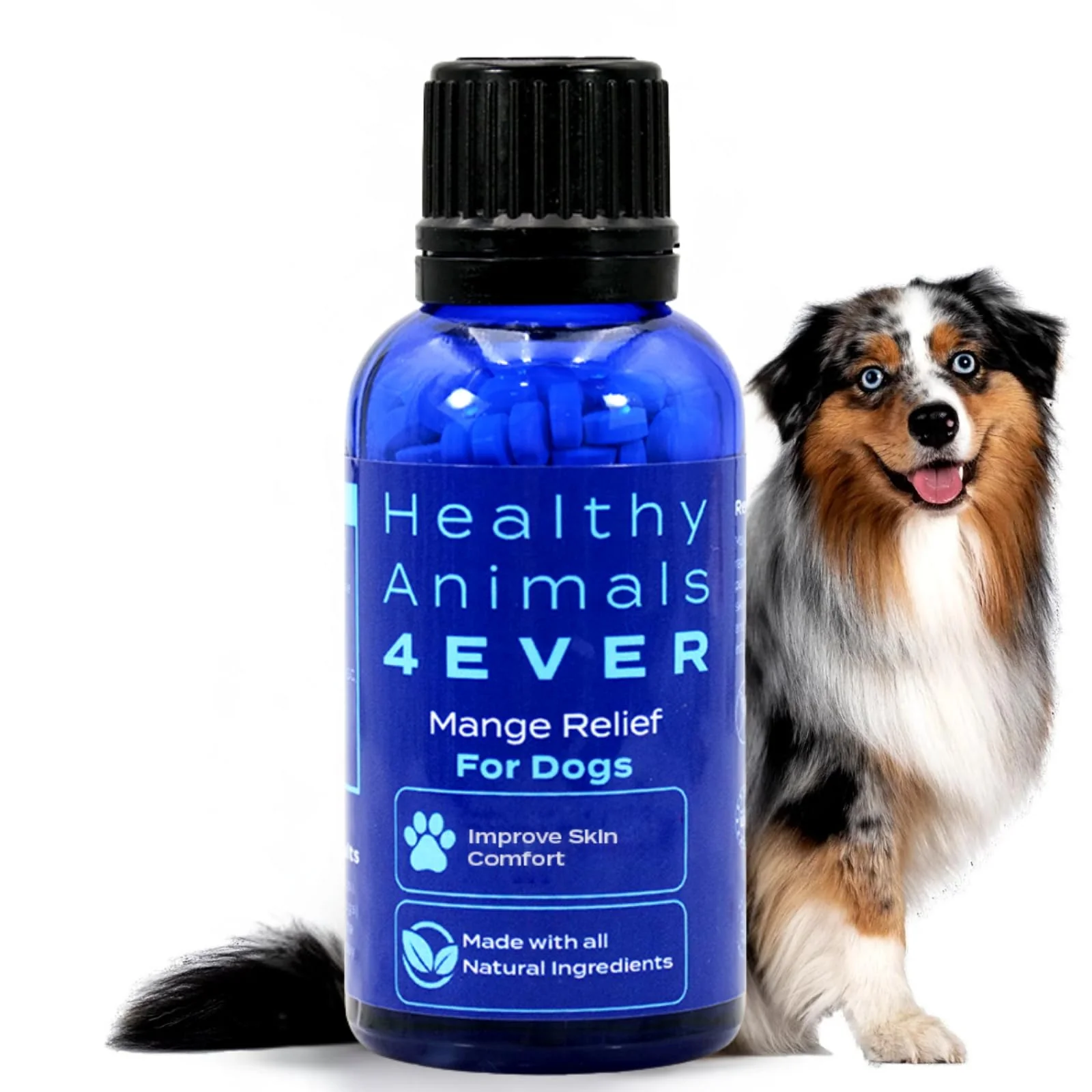 Modern HA4E Mange Relief for Dogs — All-Natural Homeopathic Mite Support HealthyAnimals4Ever Exceptional