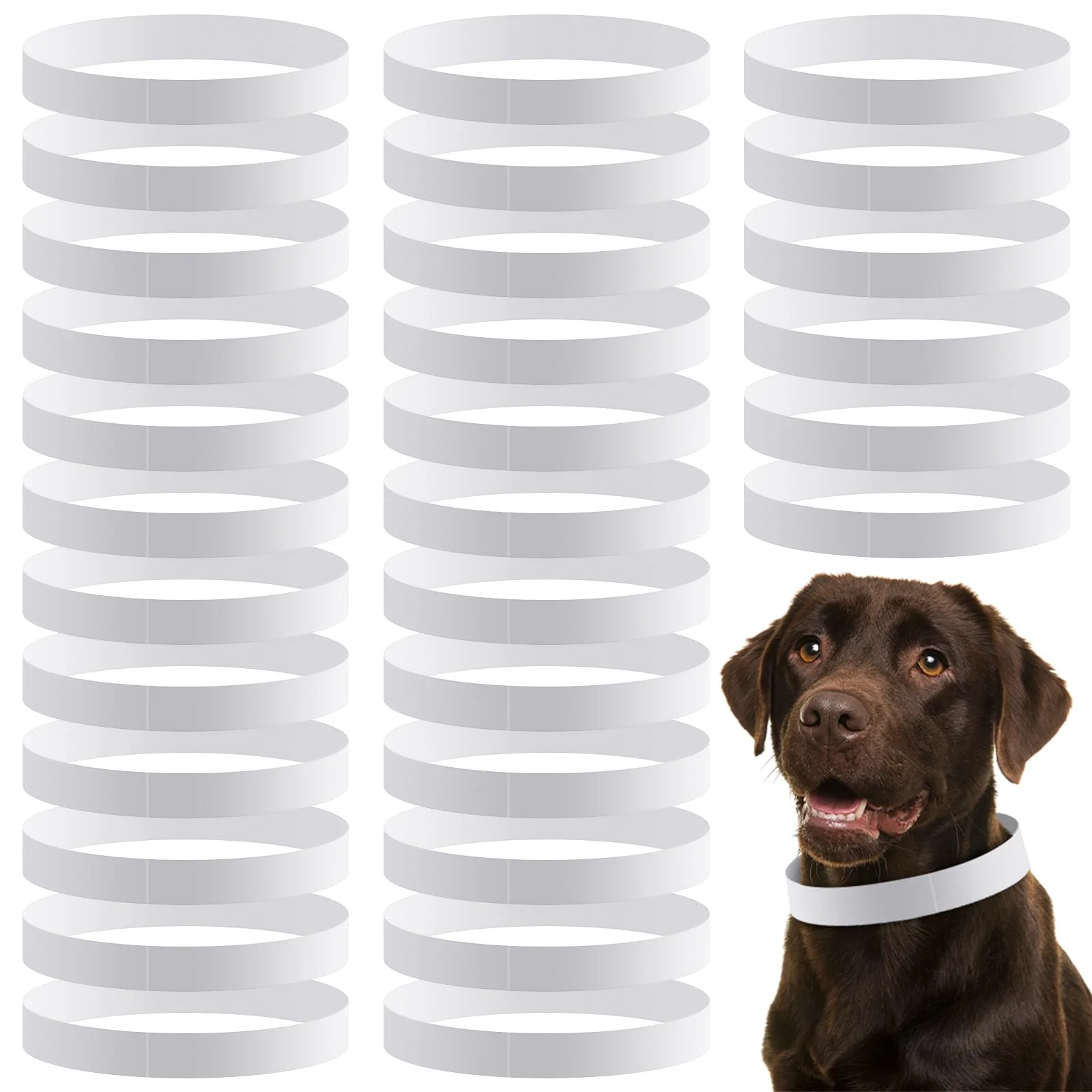 Refined Clysee 500 Count White 20in Adjustable Paper Dog Collars — Tear-Resistant Waterproof Whelping ID Bands Reusable