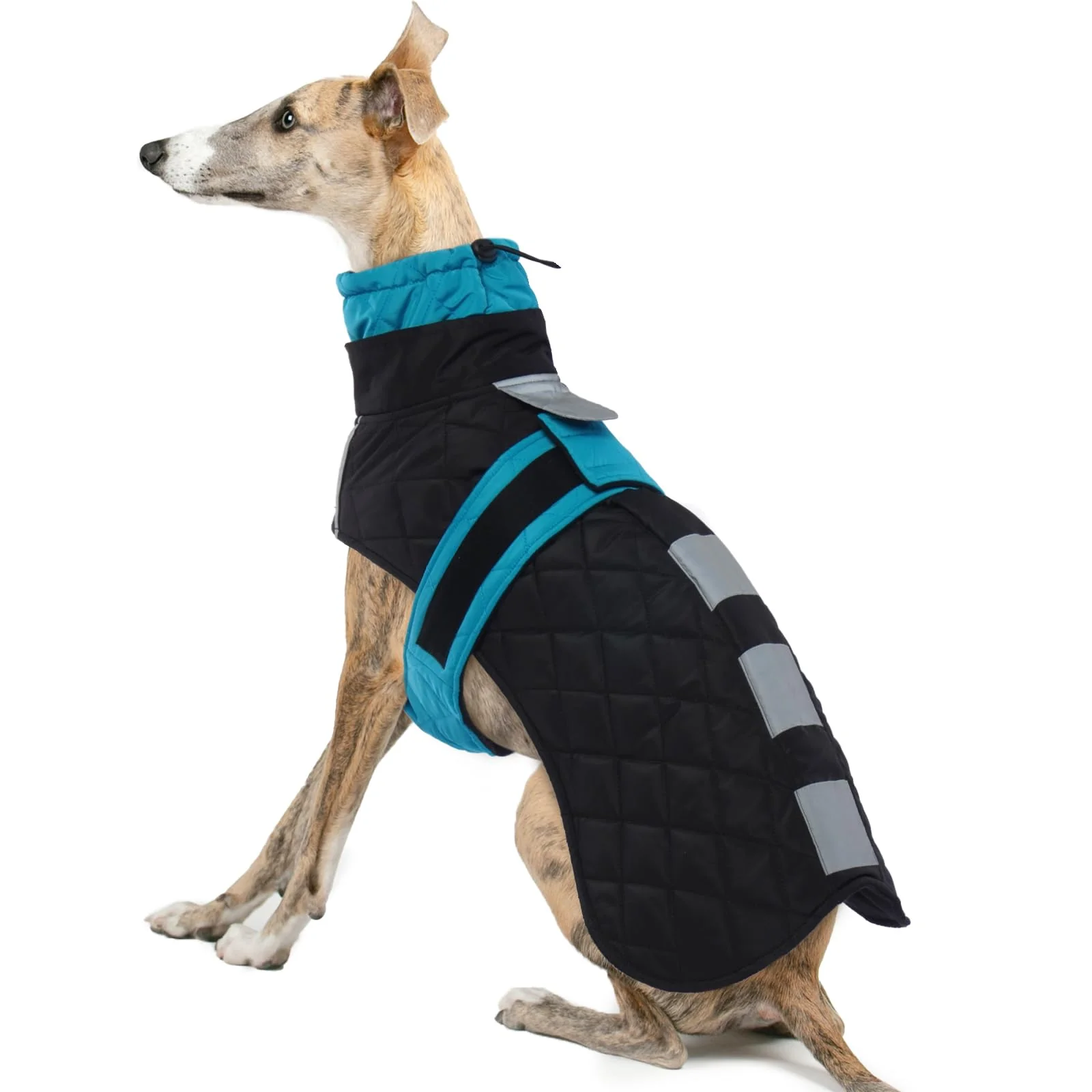 Genuine IECOii Greyhound Winter Coat for Large Dogs — Waterproof Whippet Jacket with Warm Fleece Lining Blue-L Dependable