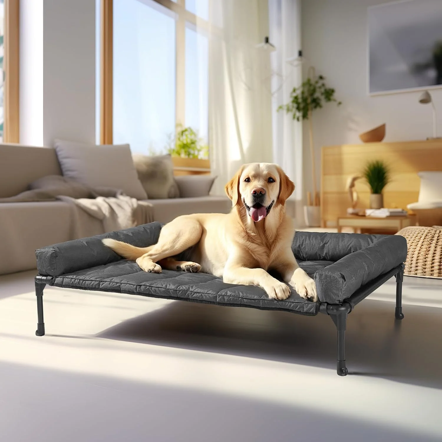 Optimized Veehoo Cooling d Dog Bed Add Removable Waterproof Bolster Cushion Mat Raised Pet Cot with Breathable Teslin Mesh No-Slip Feet Dog Couch Bed for Indoor Outdoor 42x30inches Black CWC2331B High-Quality