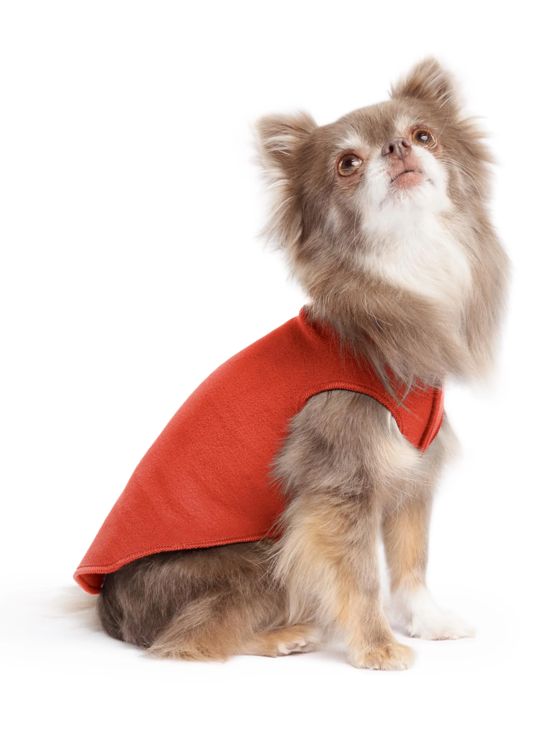 Proven Gold Paw Stretchy Fleece Jacket for Small Dogs – Paprika Size 6 – Made in USA Machine Washable Practical