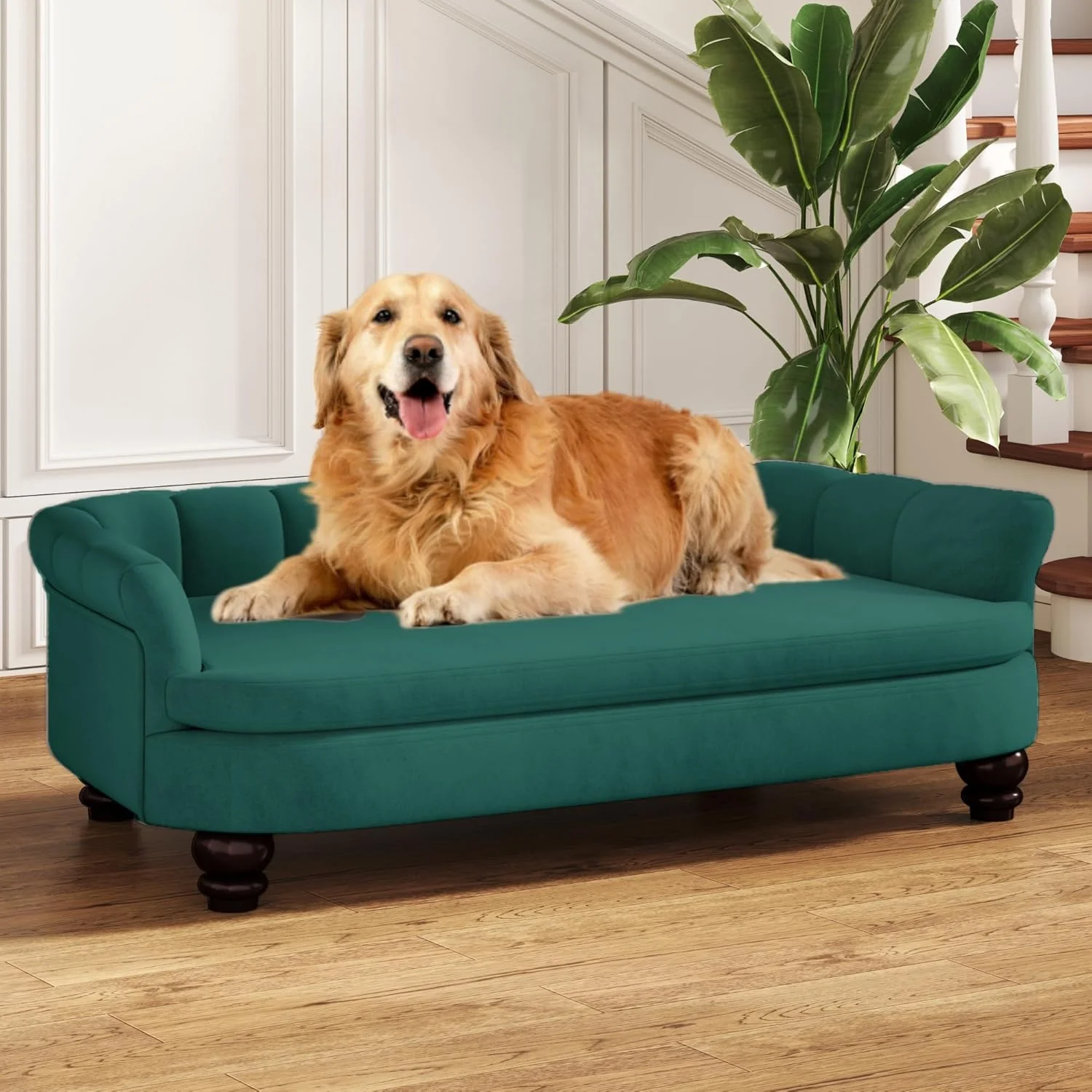 High-Grade Dog Couch Sofa Bed Comfortable Pet Sofa for Large and Medium Dogs Soft Velvet Cushion Durable Dog Furniture for Living Room Versatile
