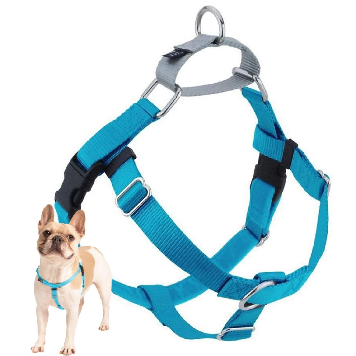 Luxury 2 Hounds Design dom No Pull Dog Harness – Adjustable Made in USA Turquoise 1 LG Classic
